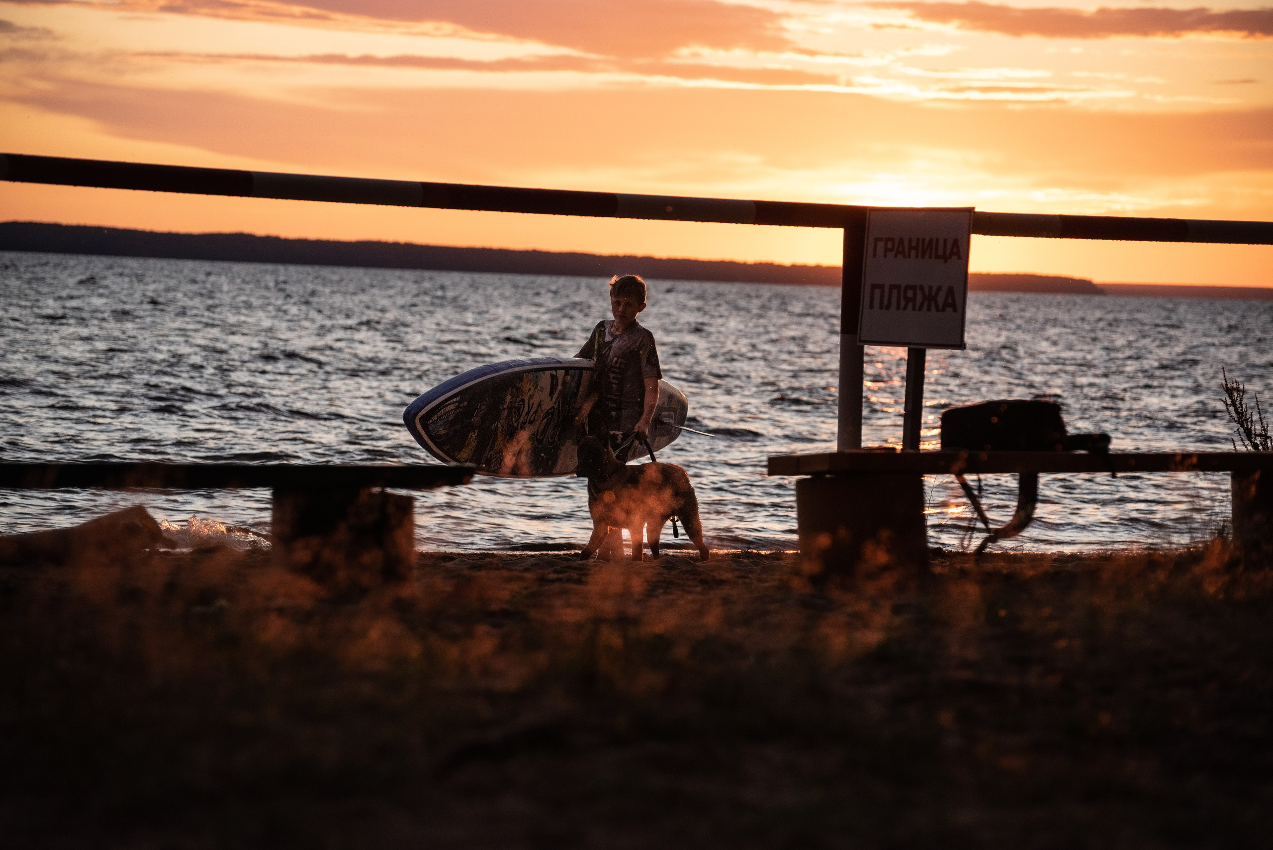 Фотограф анималист. Фотограф Макс Огурцов в Нижнем Новгороде