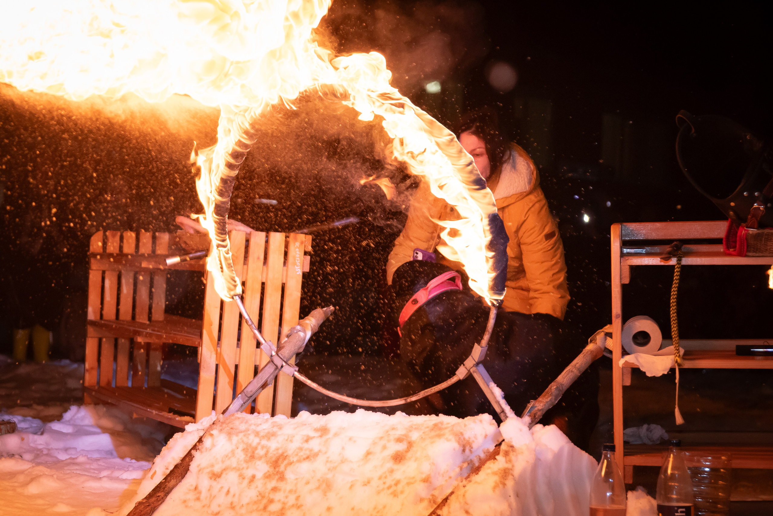 Фотосъёмка с собаками в Кинологическом лагере. Фотограф Макс Огурцов в Нижнем Новгороде
