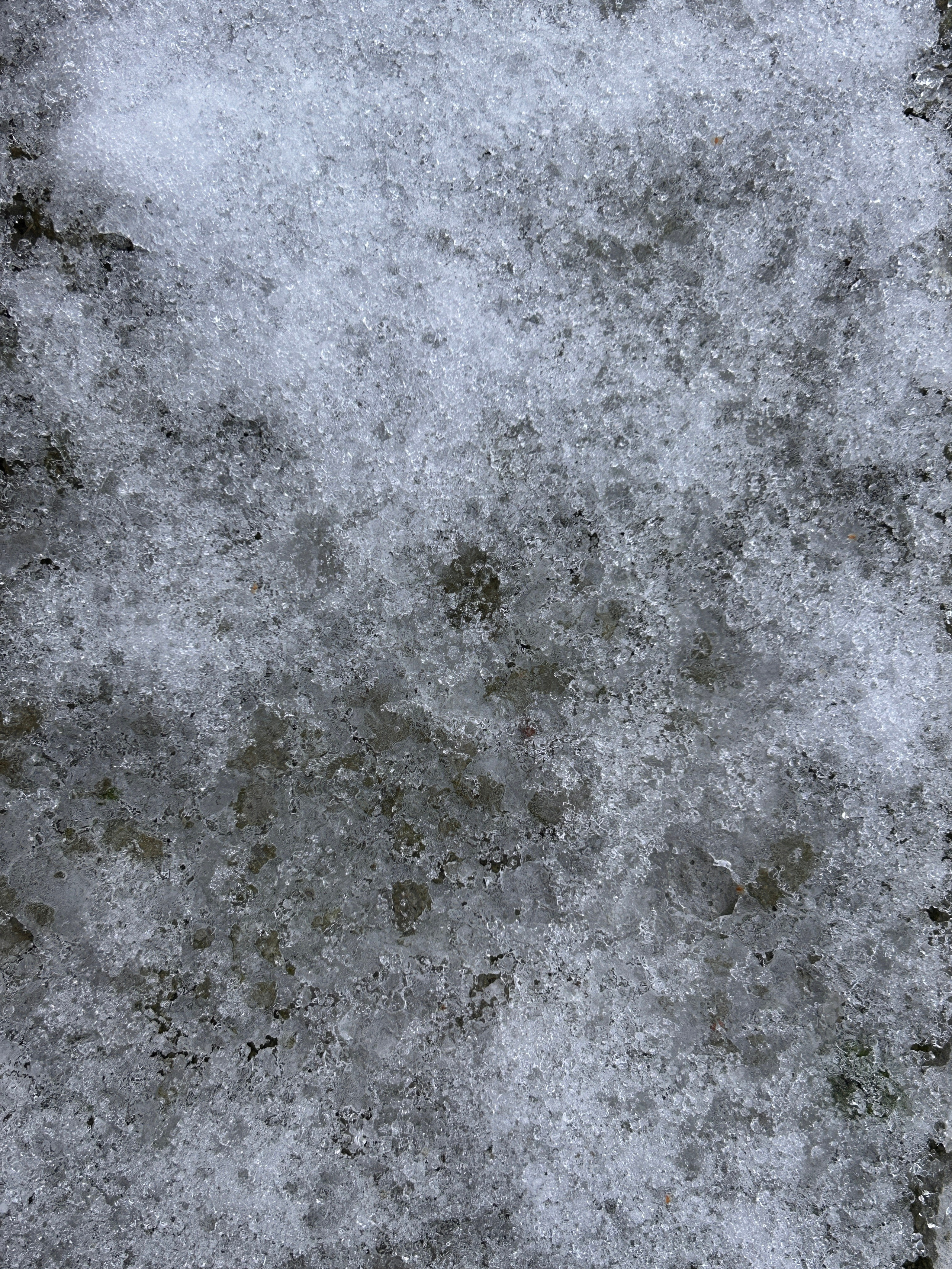 Текстуры. Фотокружок «Видоискатель» ГБОУ СОШ № 291