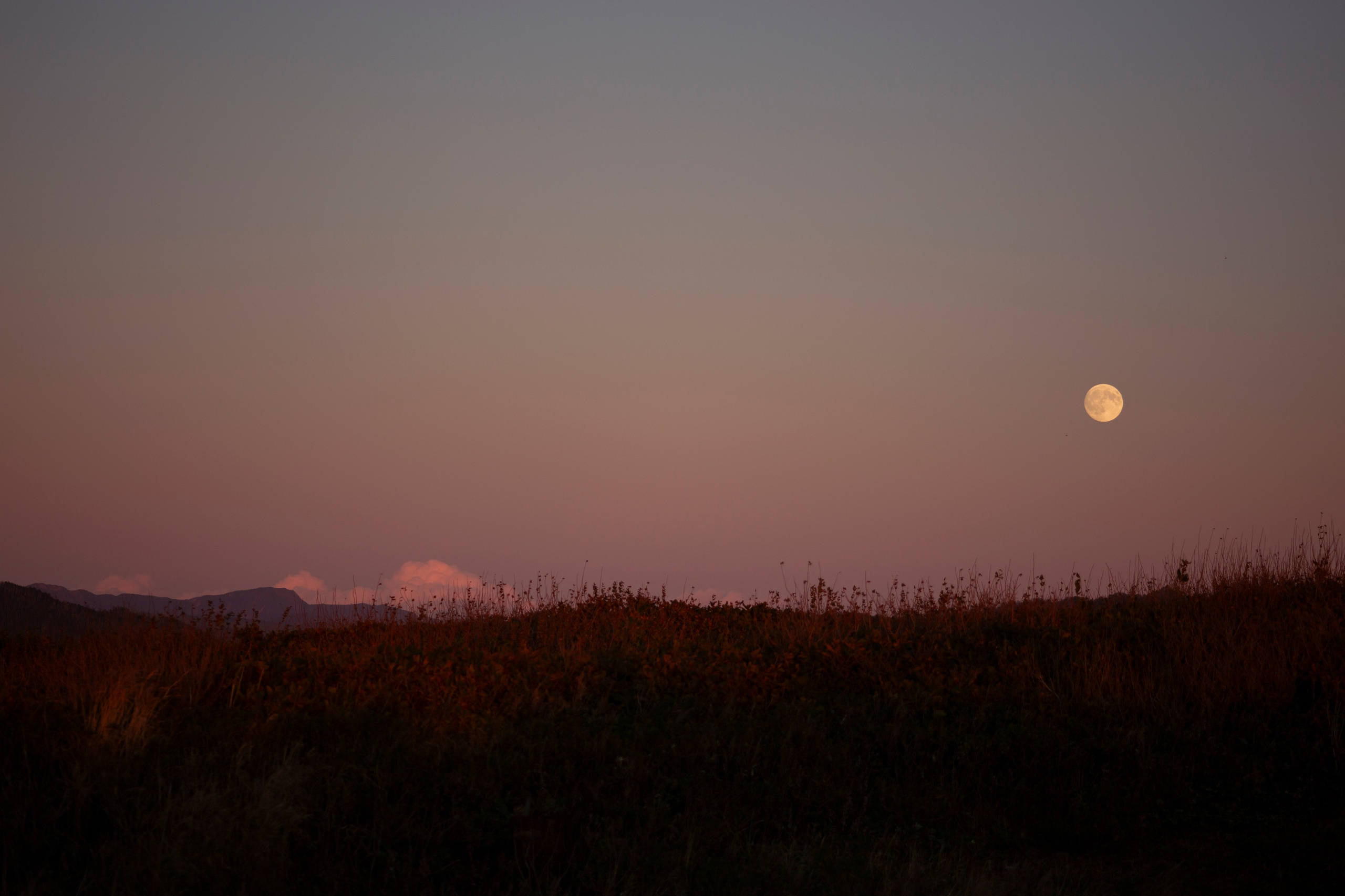 Первый день на Сахалине. Фотограф Даша Омельченко
