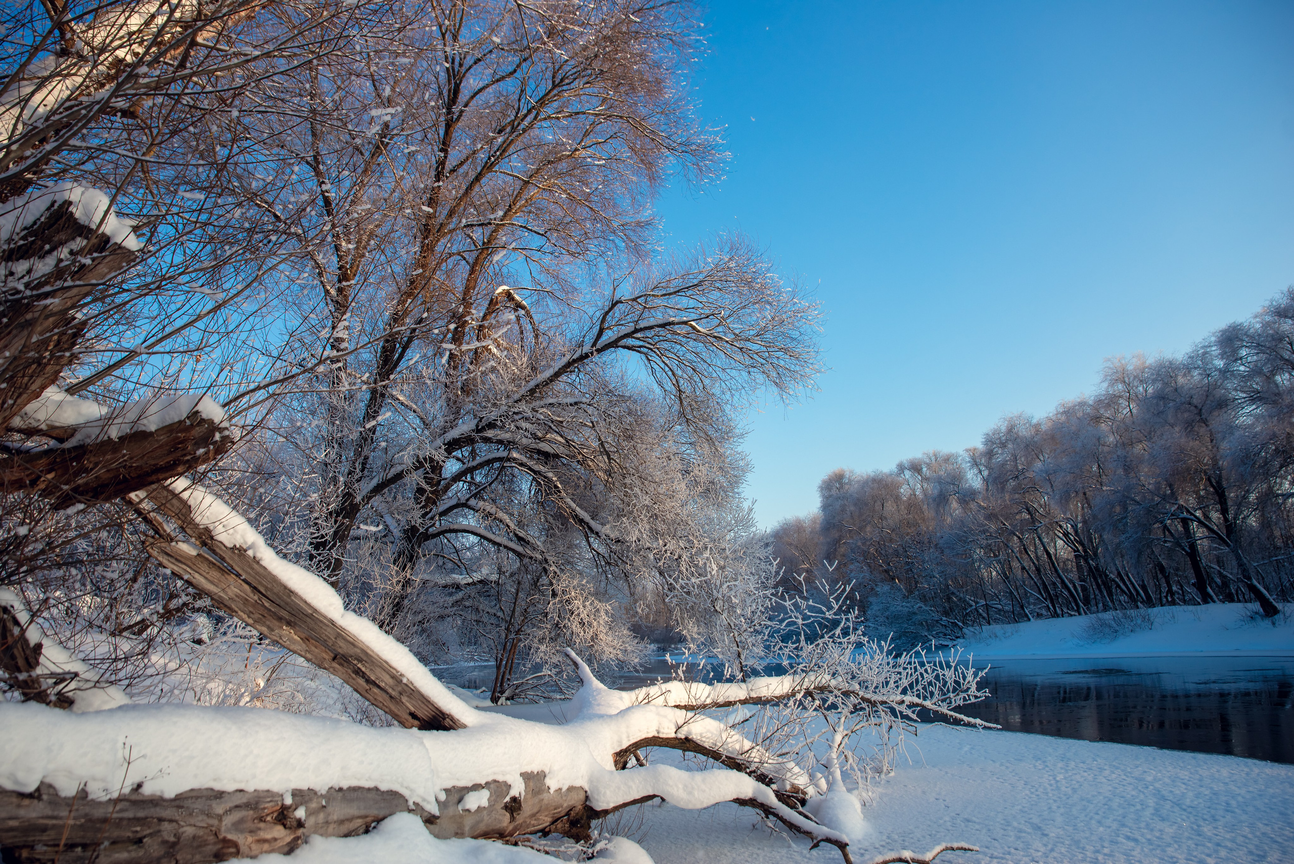 Зимушка зима. Фотограф Крещение Венчание Москва