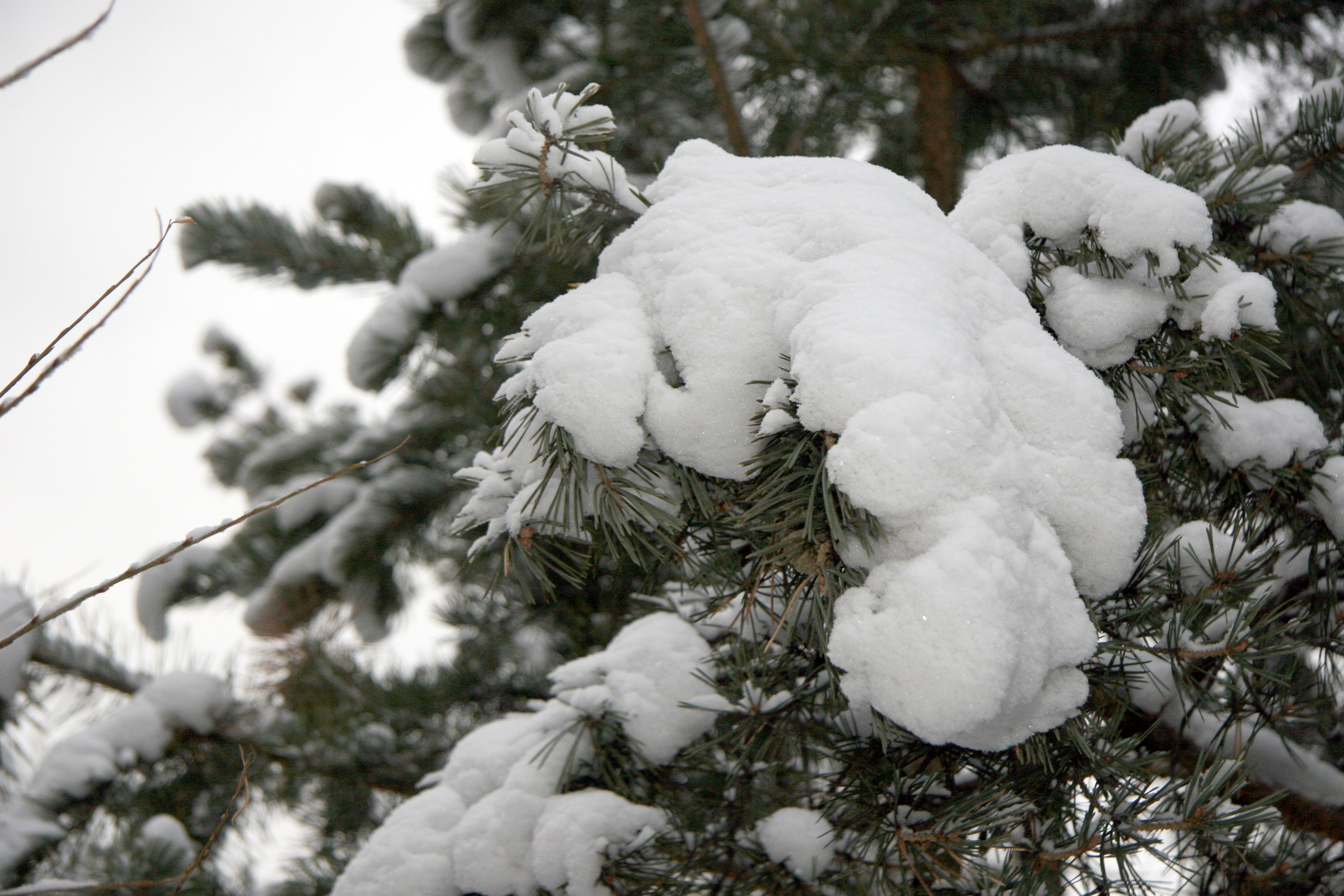 Фото Природы Забайкалья. Студия Максима Белослюдцева