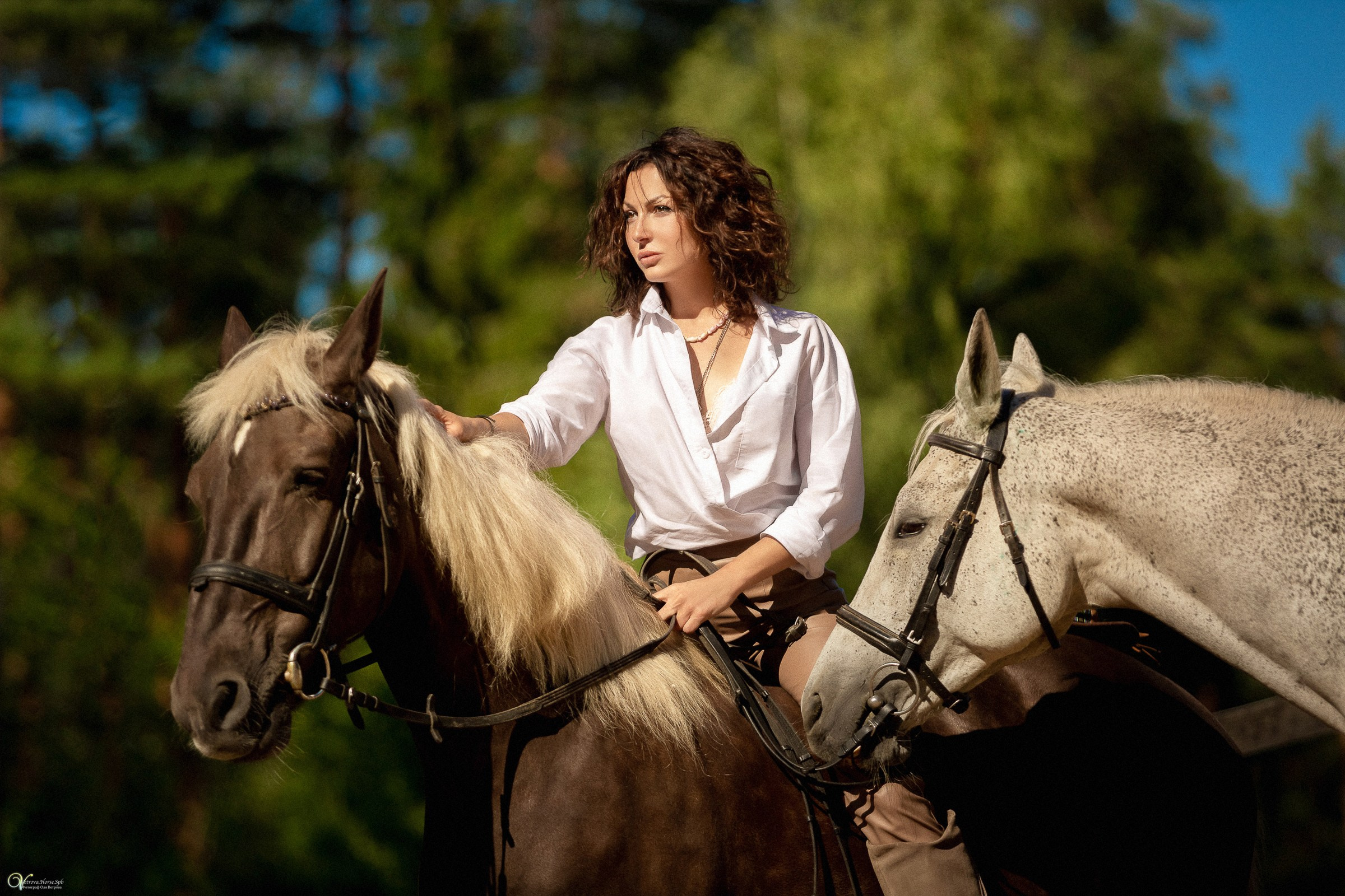 Фотосессия с лошадьми в катри-стиле. Фотограф женский и мужской портрет Санкт-Петербург