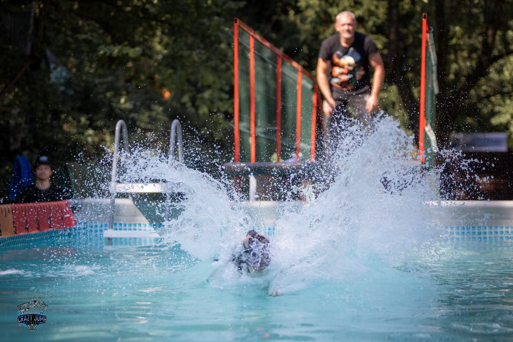 Собаки, спорт, Док дайвинг. Свадебный и репортажный фотограф в Москве и Московской области