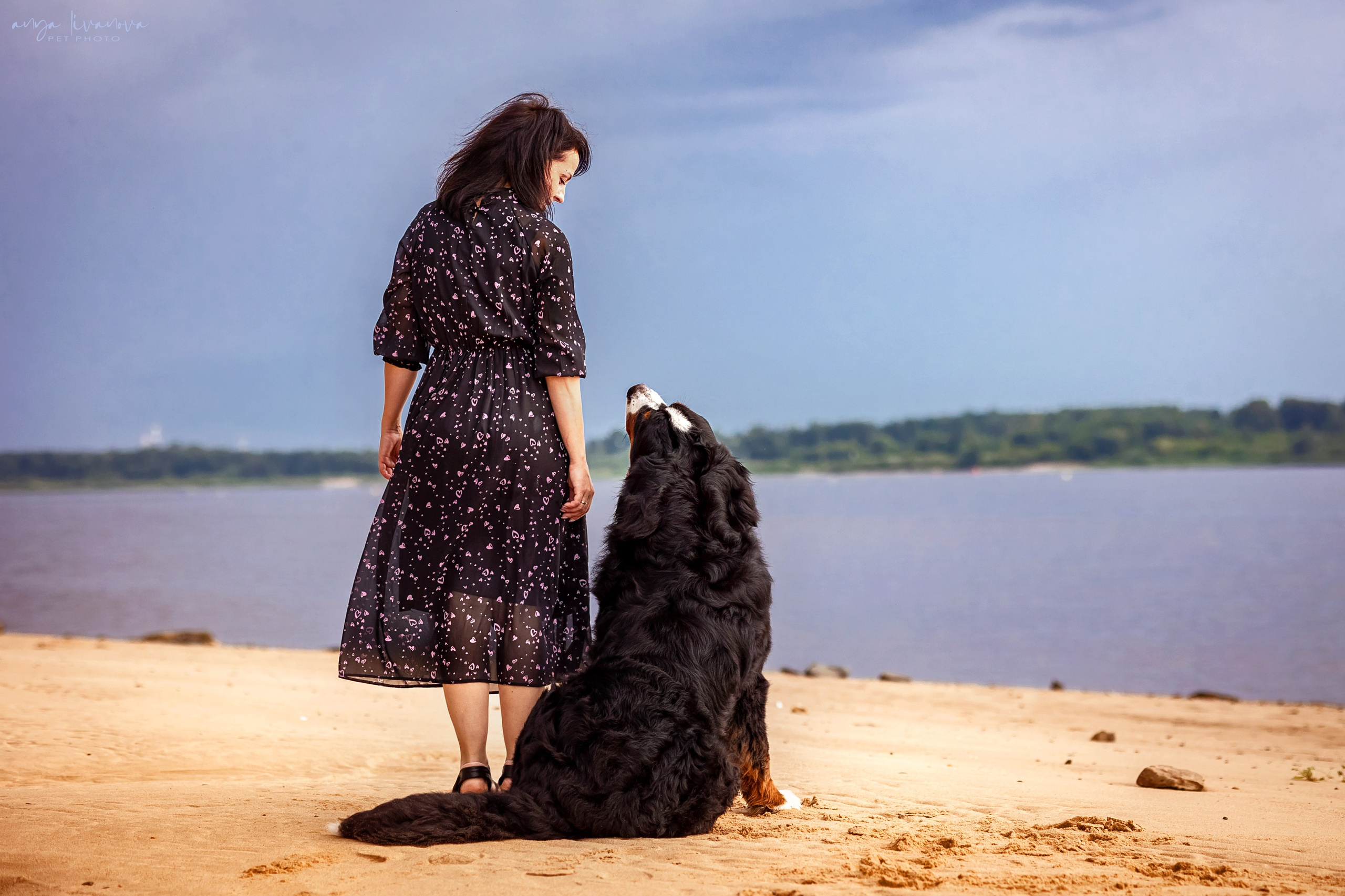 Маша и Буч. Фотограф анималист Аня Ливанова | Рыбинск