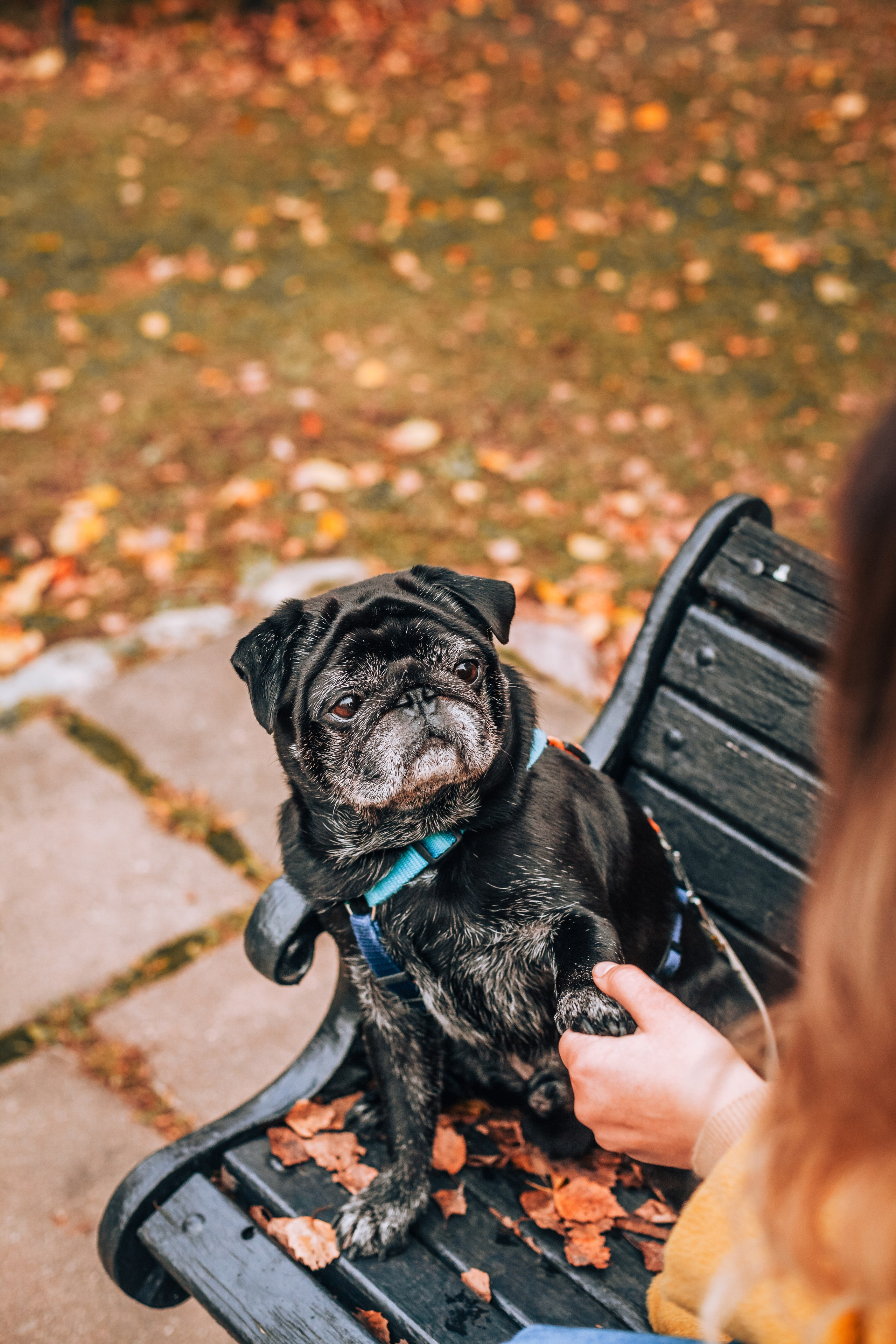 Оля, Харви, Луис. Фотограф-анималист Татьяна Степанова