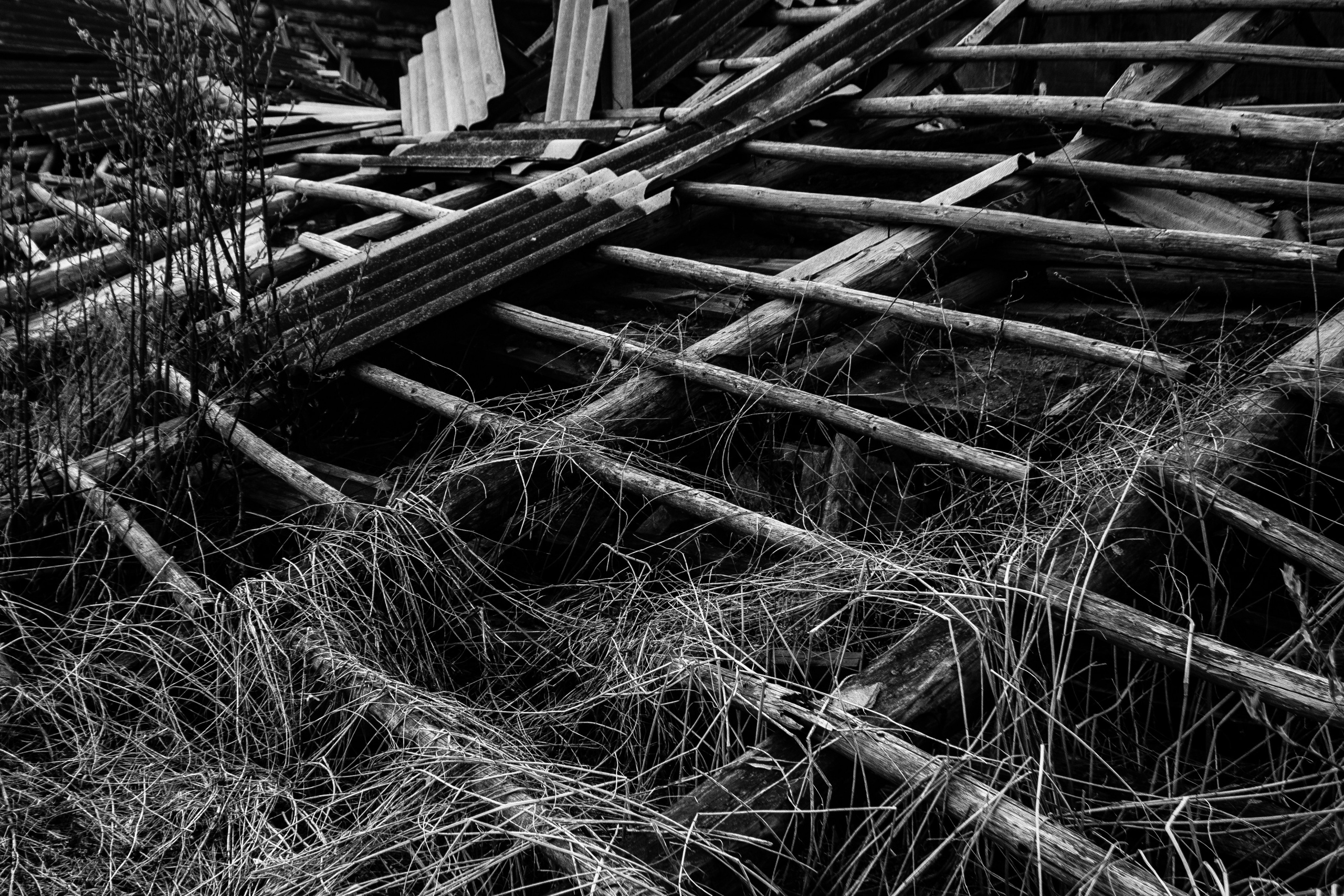 Вепсский ковчег. Полина Щапова БМК235 Медиаком — НИУ ВШЭ