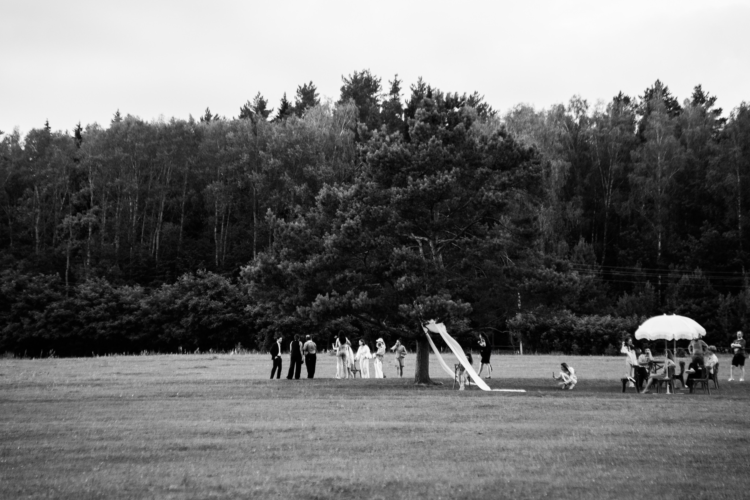 Таисия & Артур. Свадебный фотограф