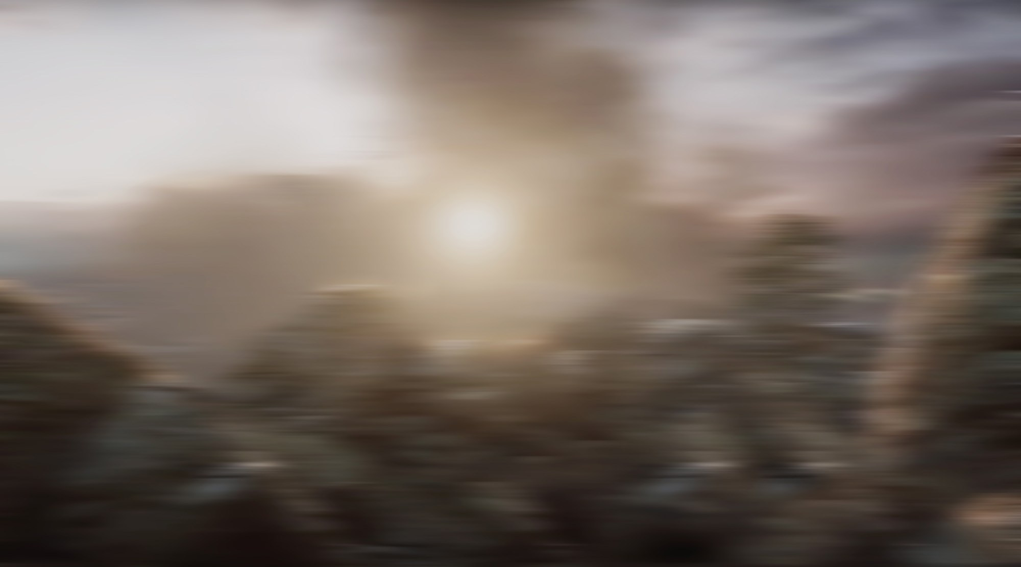 Deathscapes. Petr Antonov