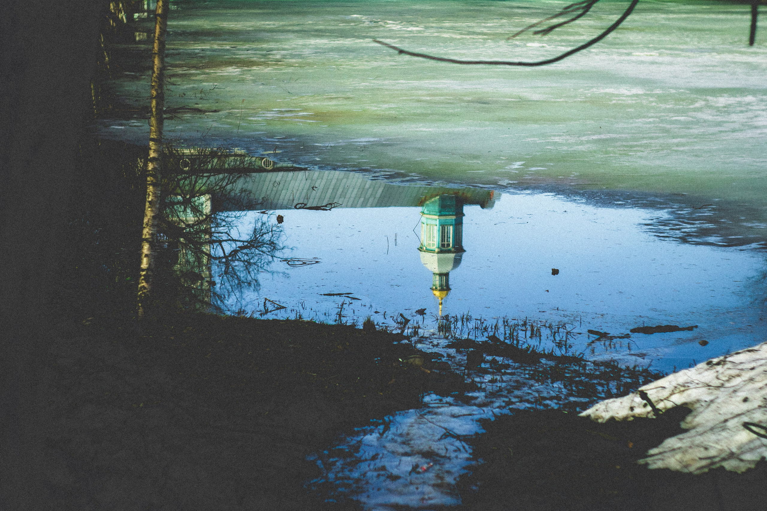 Kingdom. Den Mirov — Photographer, Musician