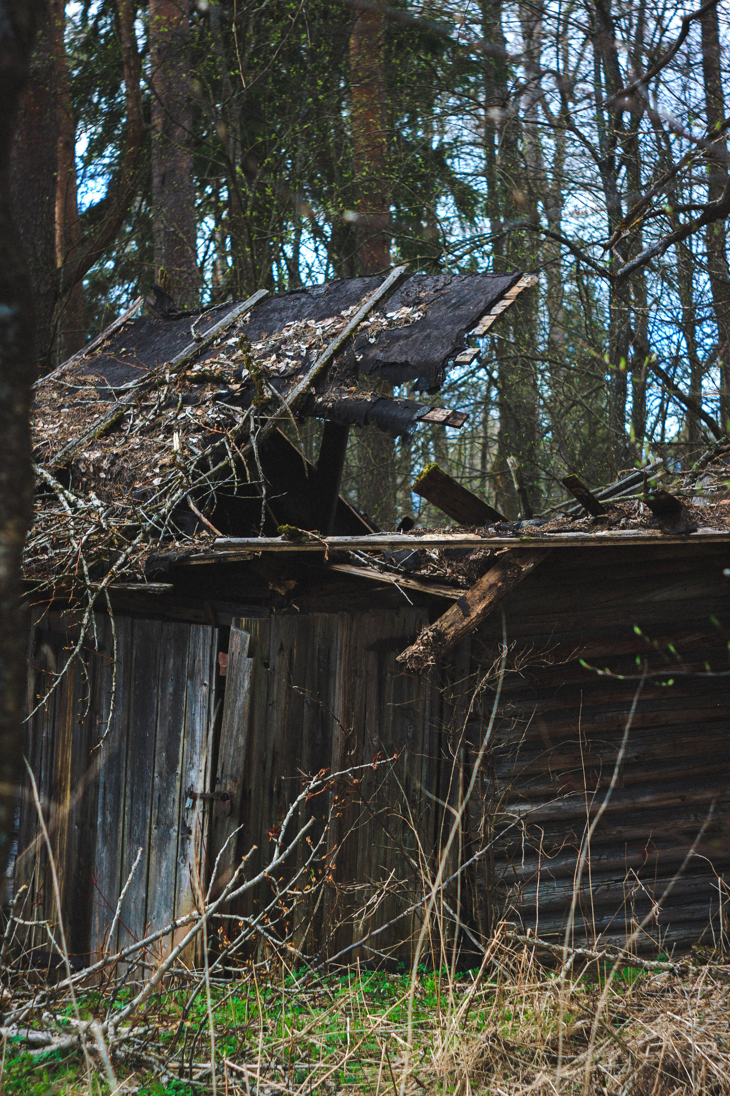 Деревня. Den Mirov — Photographer, Musician