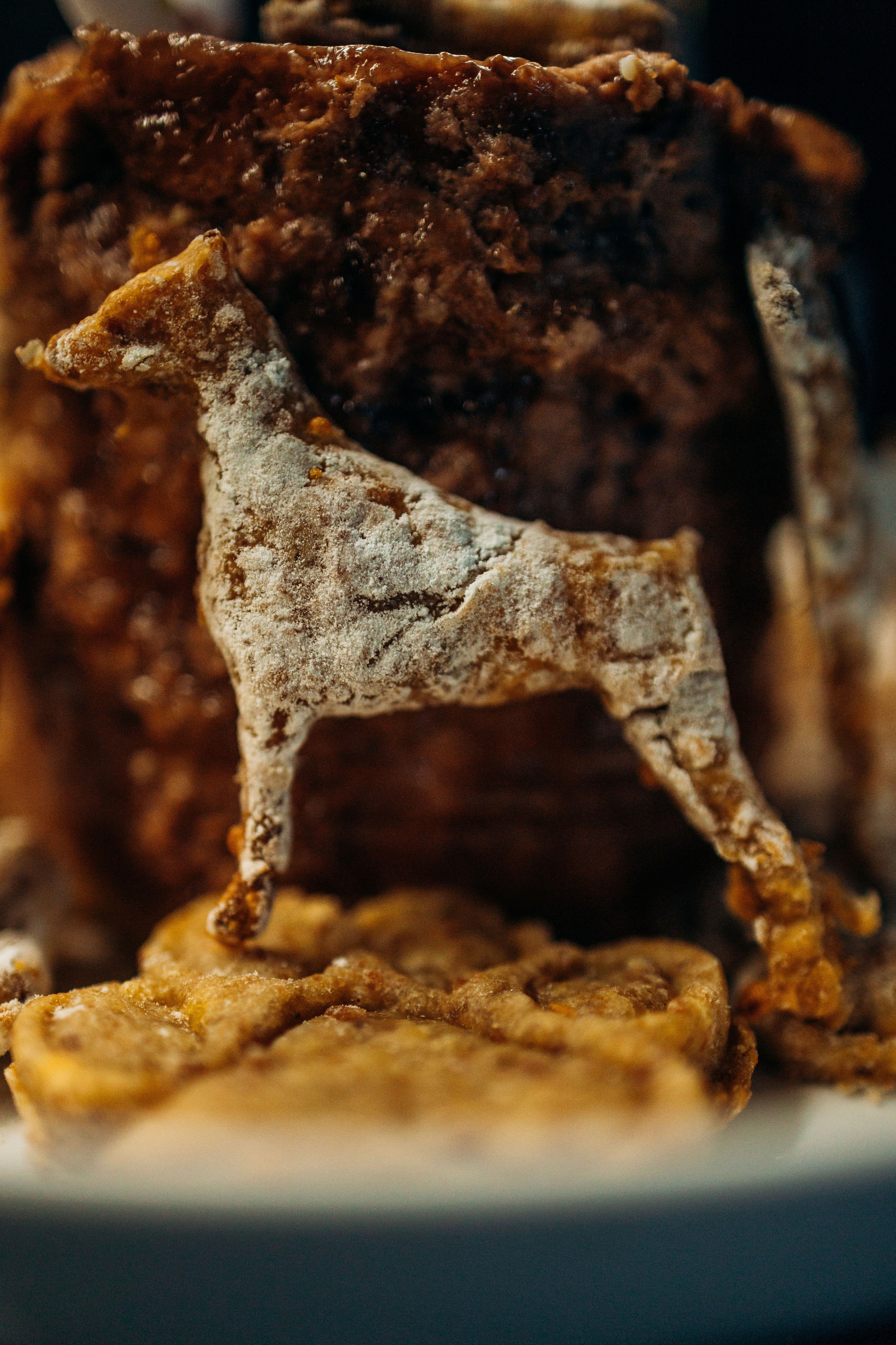 Катя и Конор