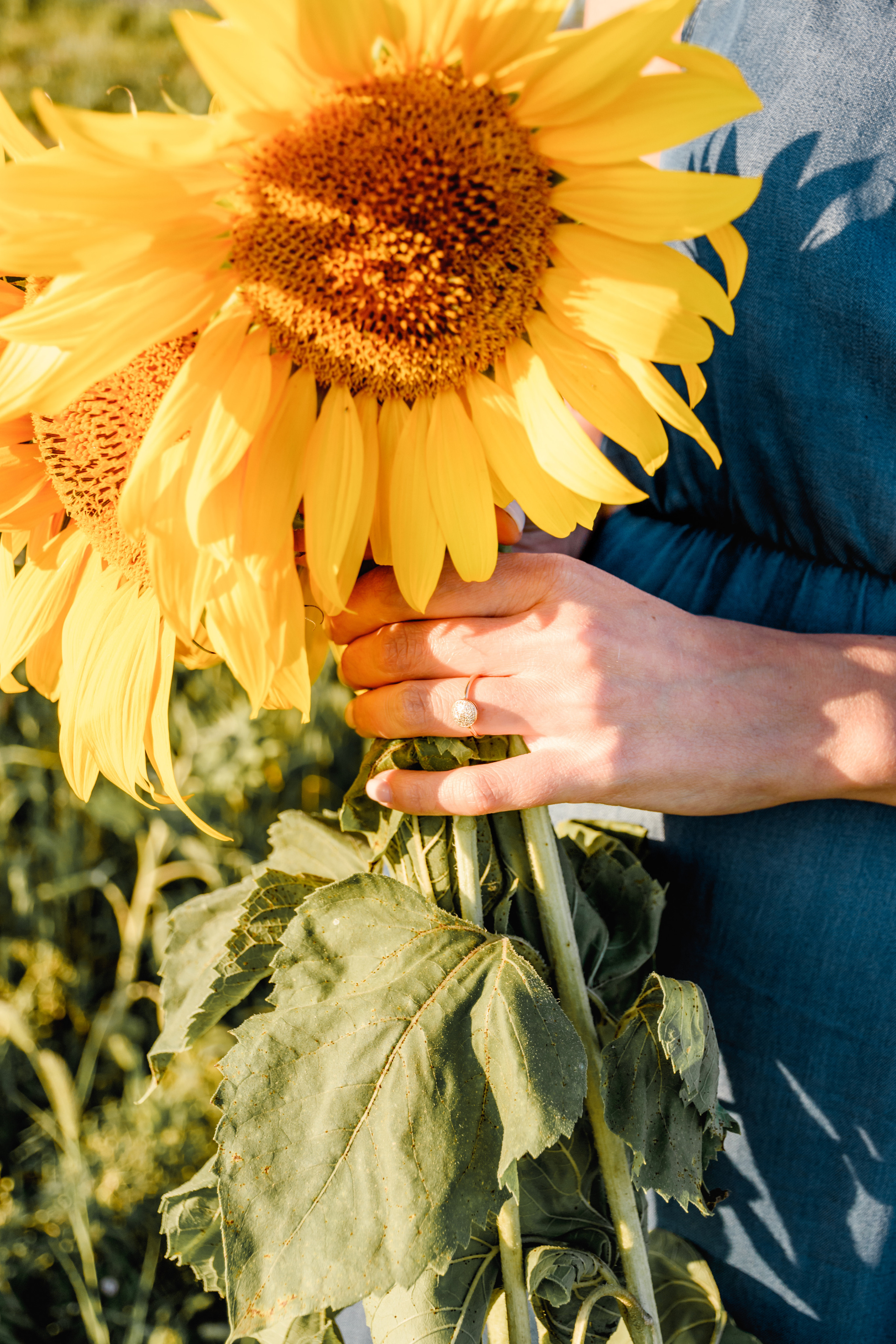 Дарья. В подсолнухах. Фотограф в Магнитогорске Татьяна Лоскутова