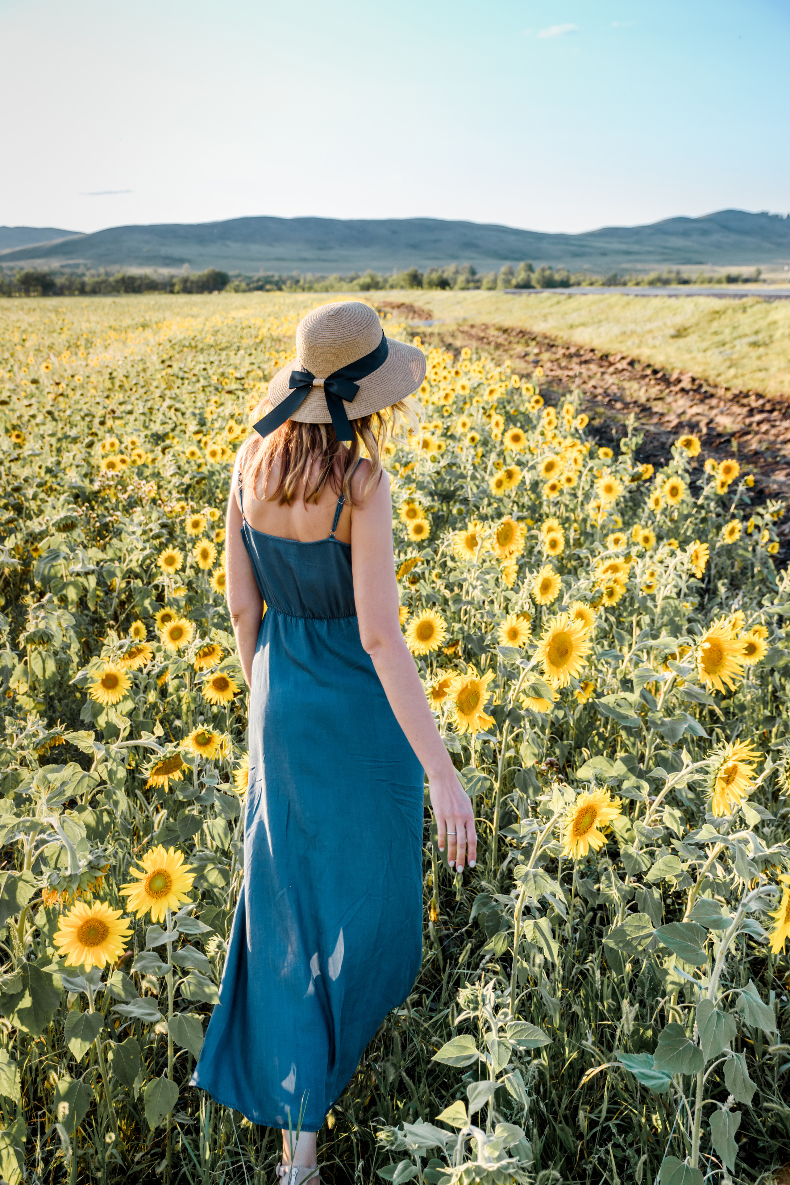Дарья. В подсолнухах. Фотограф в Магнитогорске Татьяна Лоскутова