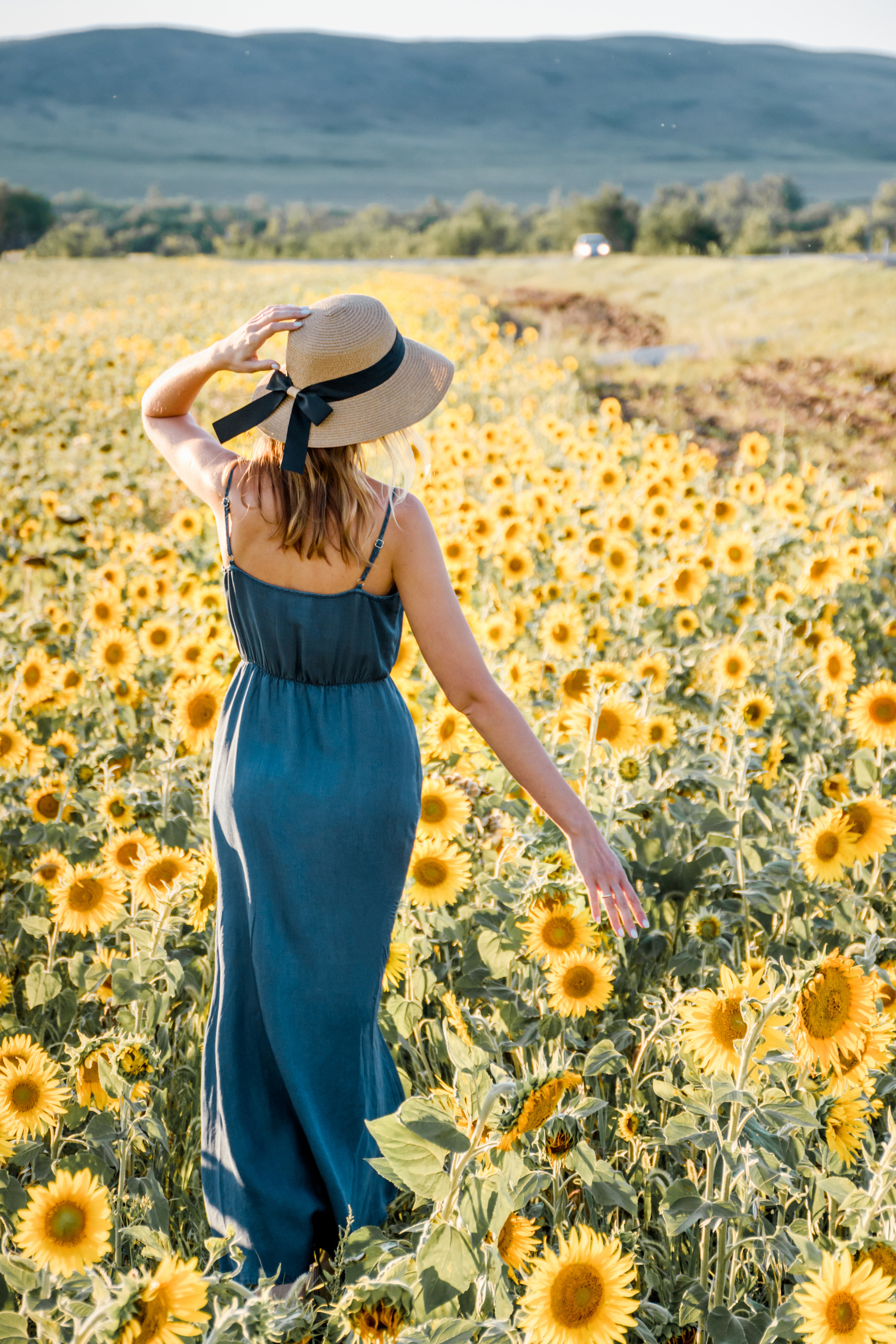 Дарья. В подсолнухах. Фотограф в Магнитогорске Татьяна Лоскутова