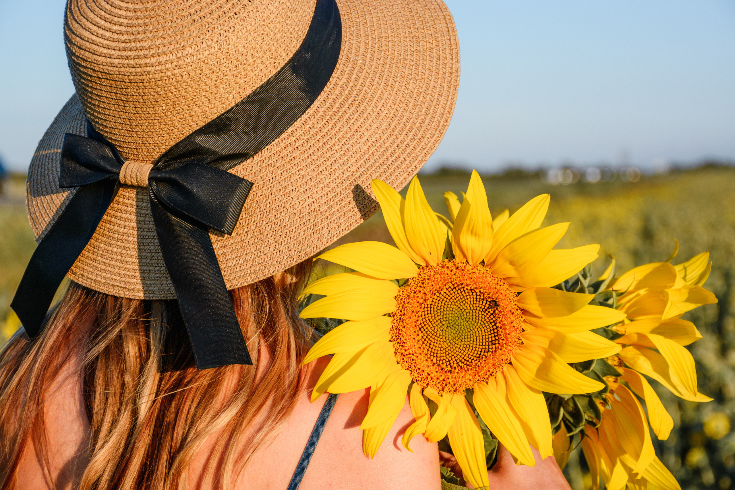 Дарья. В подсолнухах. Фотограф в Магнитогорске Татьяна Лоскутова