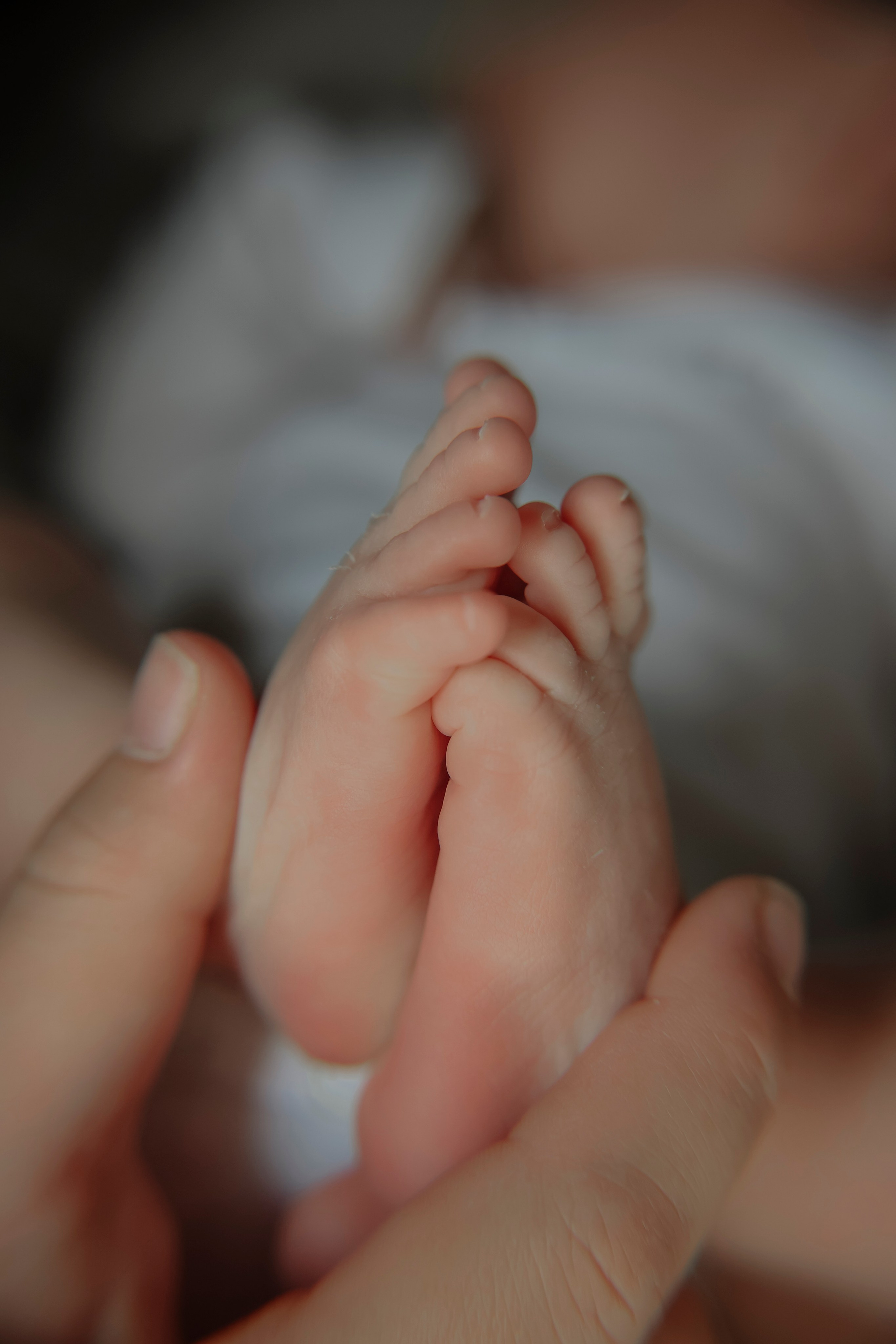 Настя Руслан София Ратмир. Фотограф новорожденных