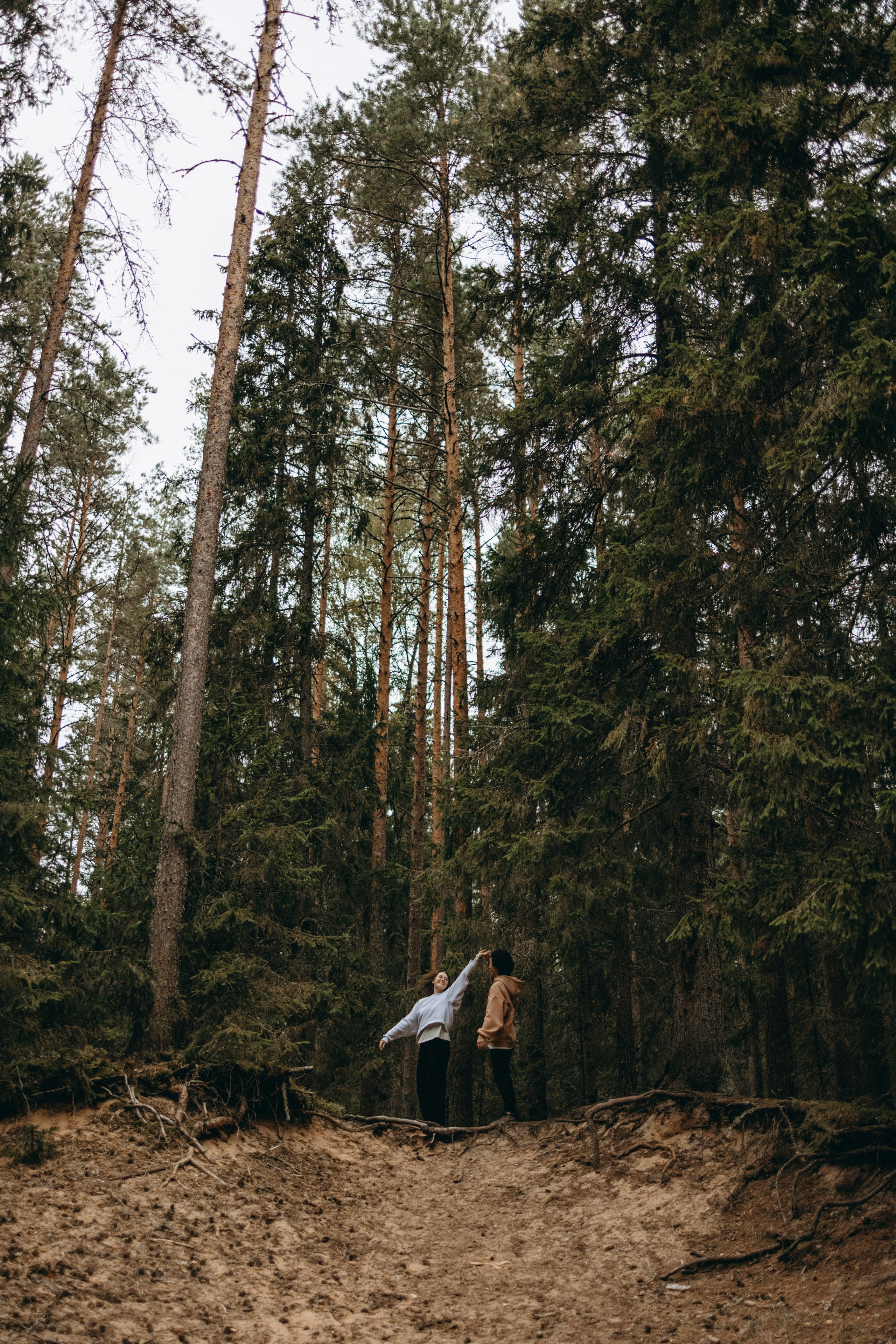Фоси и его семьи. Фотограф — Анималист | Санкт-Петербург