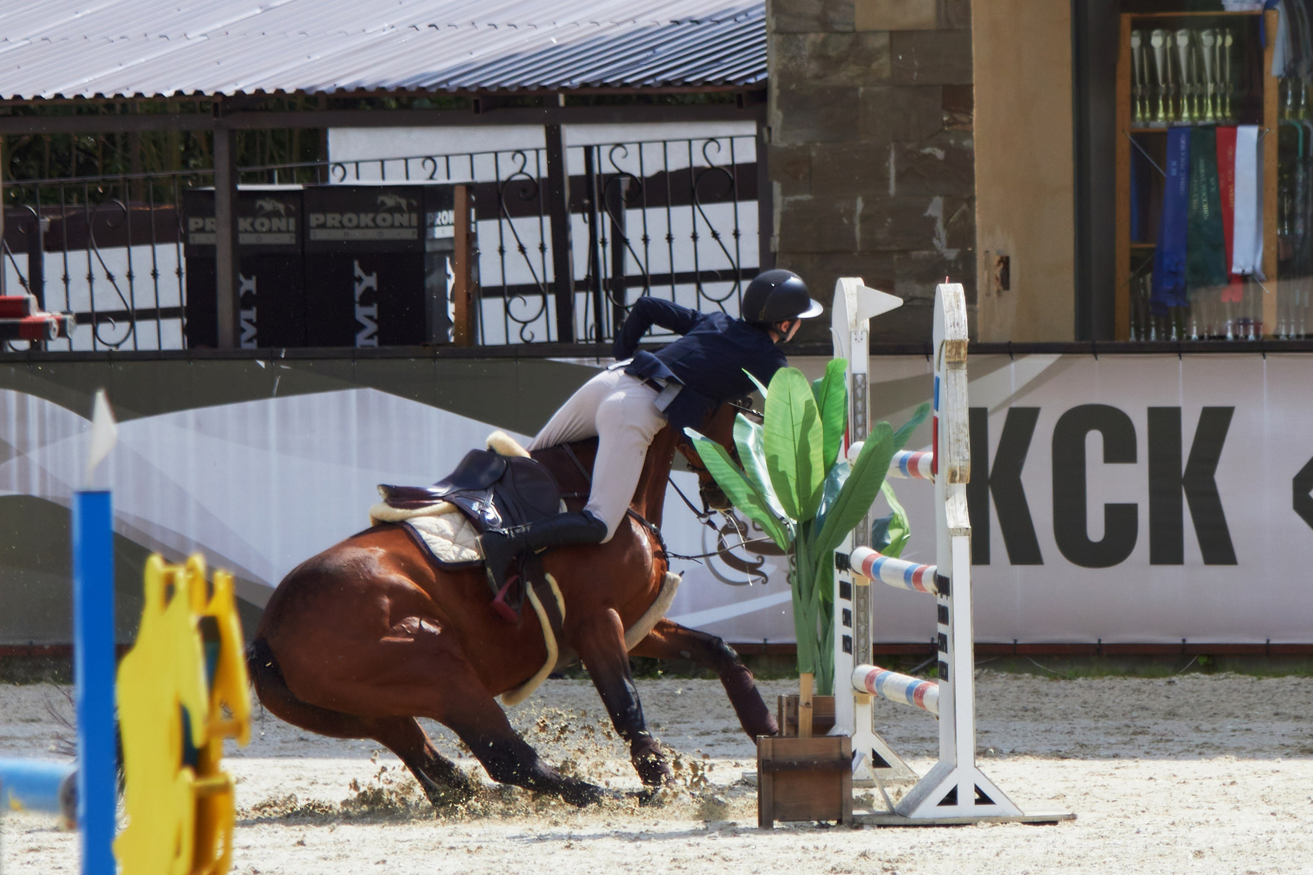 Конкур в «Виват, Россия». Фотограф анималист — Тула, Москва