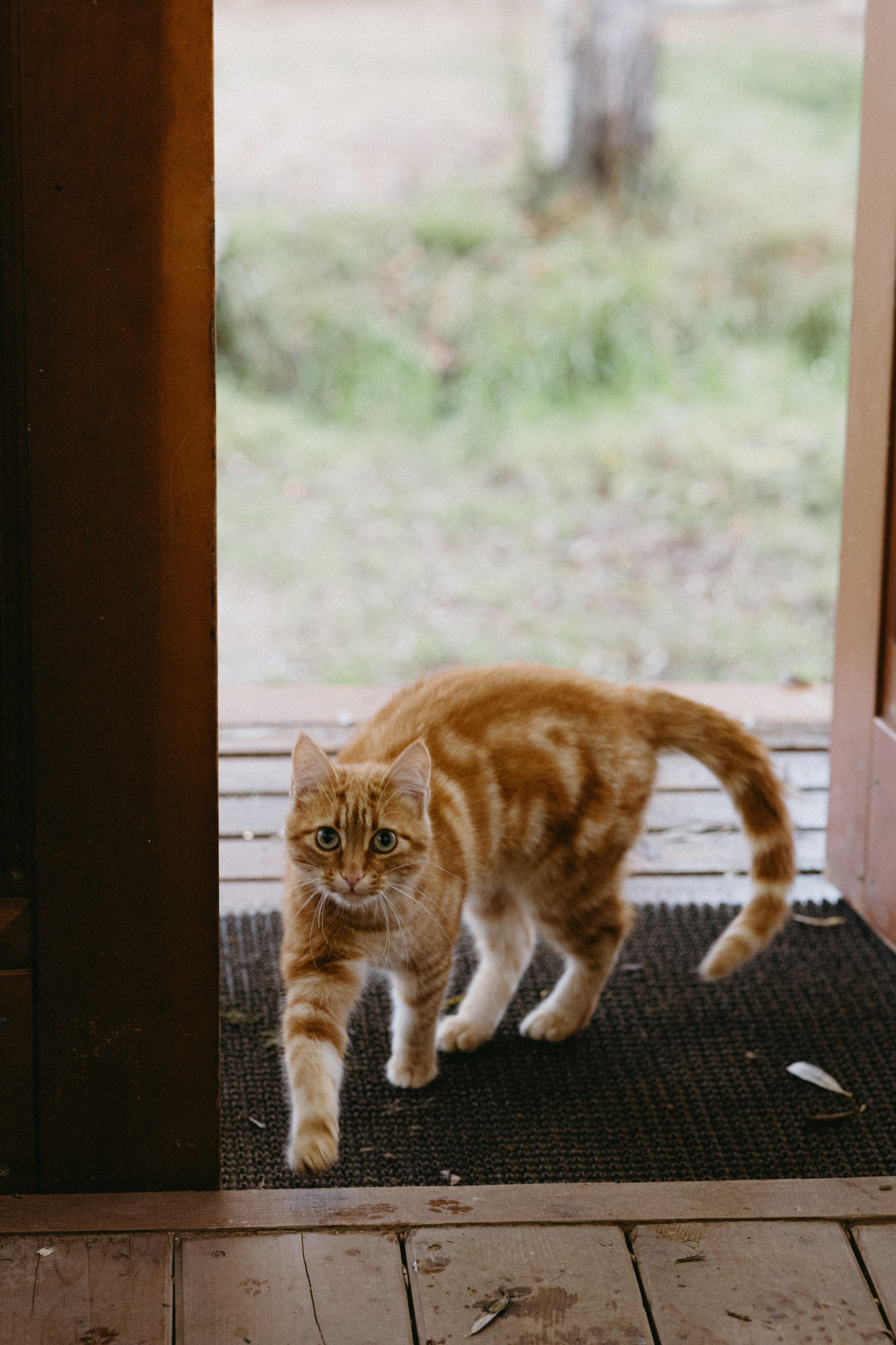 Новые земли. Про любовь