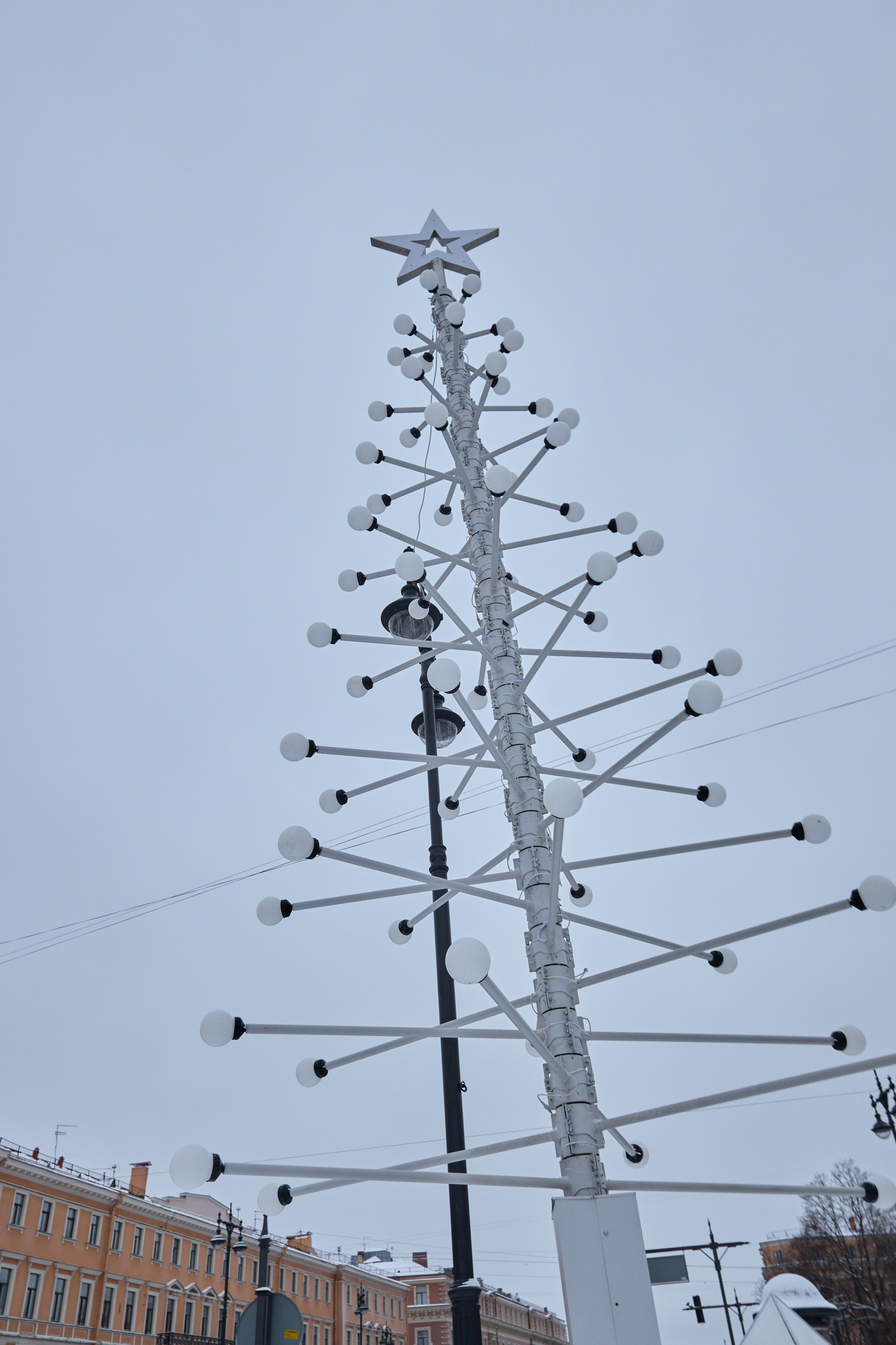 Рождество въ Санктъ-Петербургѣ. Фотографъ Сергѣевъ. Поймать мгновеніе