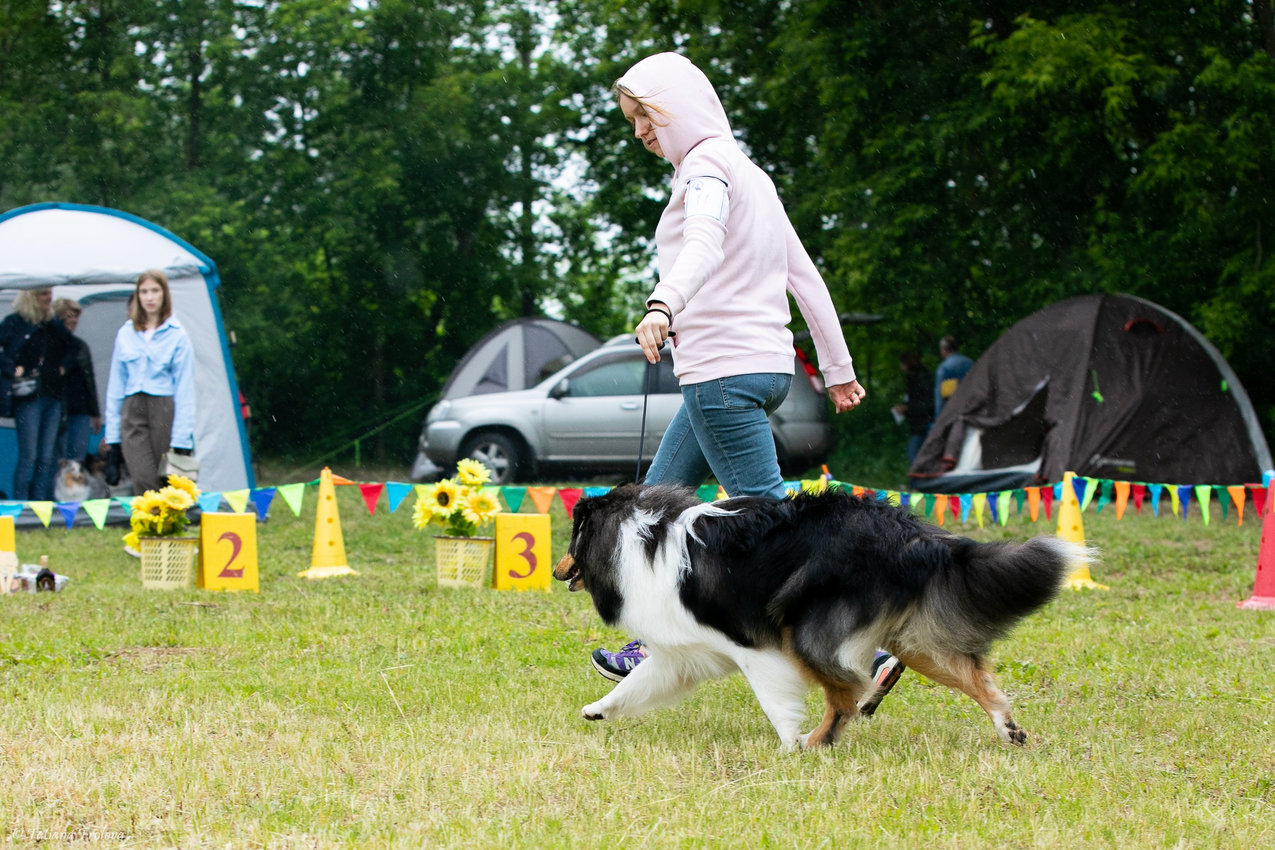 Фотосопровождение выставки собак в Московской области и Москве. Фотограф-анималист в Москве и Московской области Татьяна Фролова