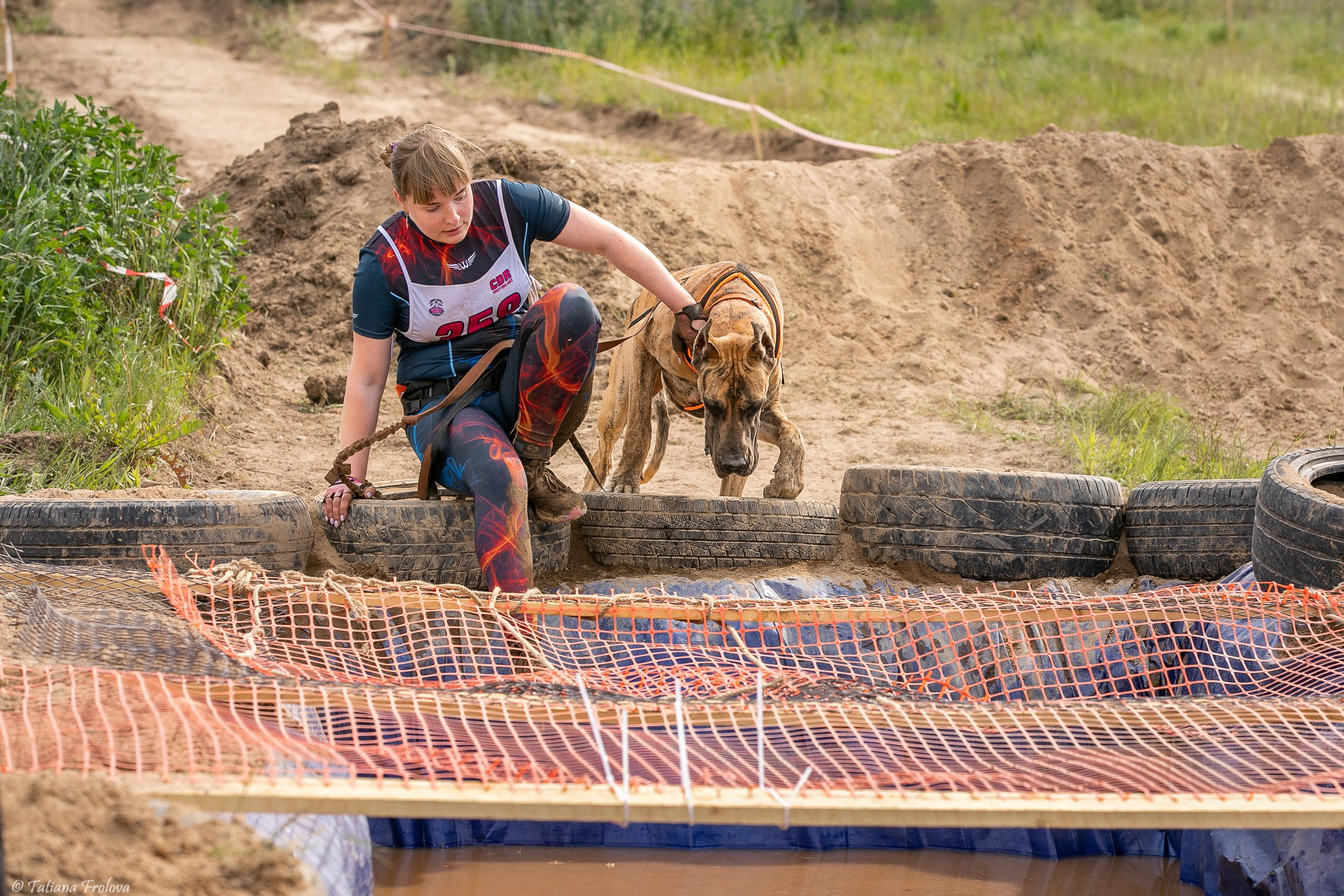 Фоторепортаж с забега с собаками. Фотограф-анималист в Москве и Московской области Татьяна Фролова
