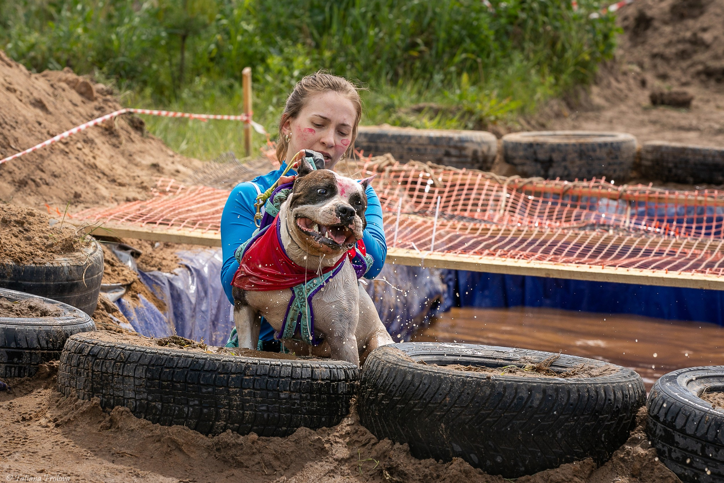 Фоторепортаж с забега с собаками. Фотограф-анималист в Москве и Московской области Татьяна Фролова