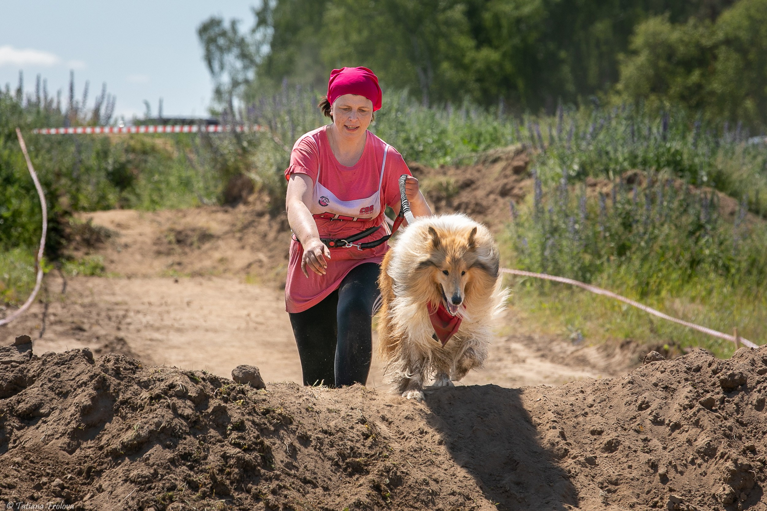 Фоторепортаж с забега с собаками. Фотограф-анималист в Москве и Московской области Татьяна Фролова