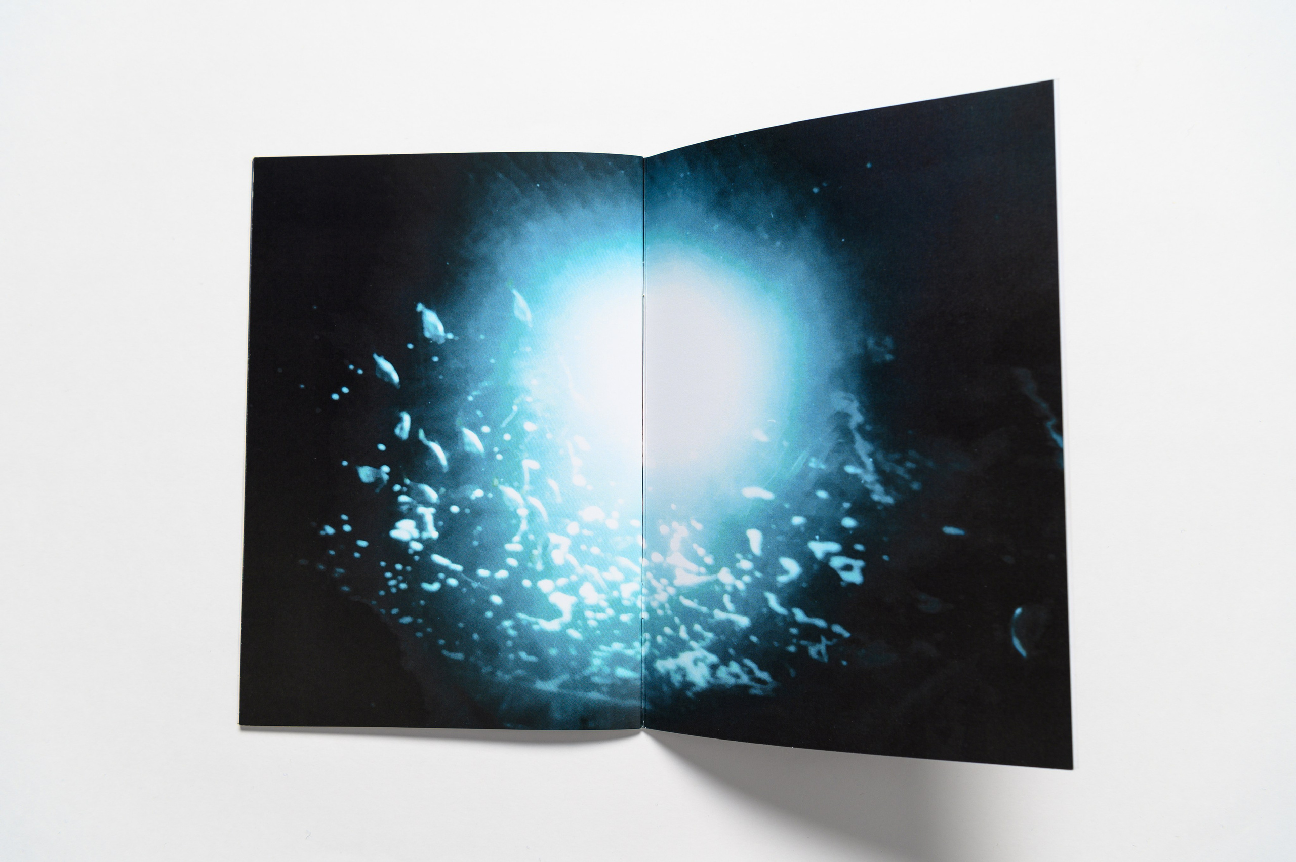 Источник. Наталия Шульгина — визуальный художник, фотограф