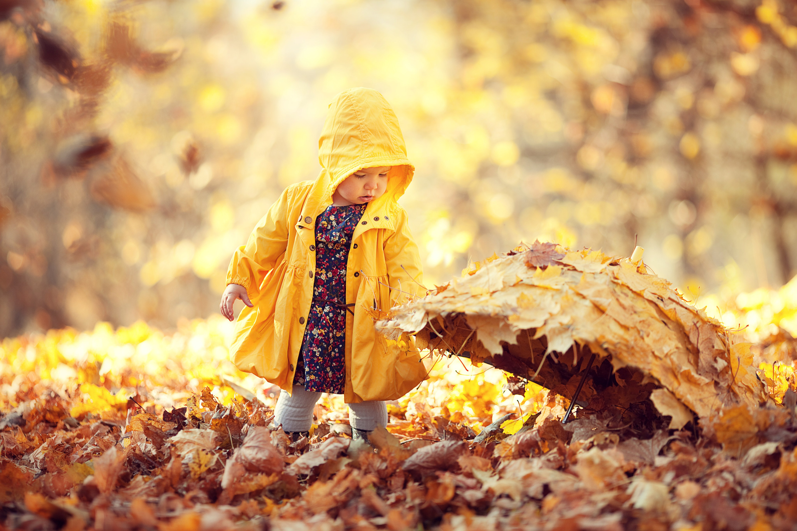 Портфолио. Карнеева Елена. Детский, семейный фотограф