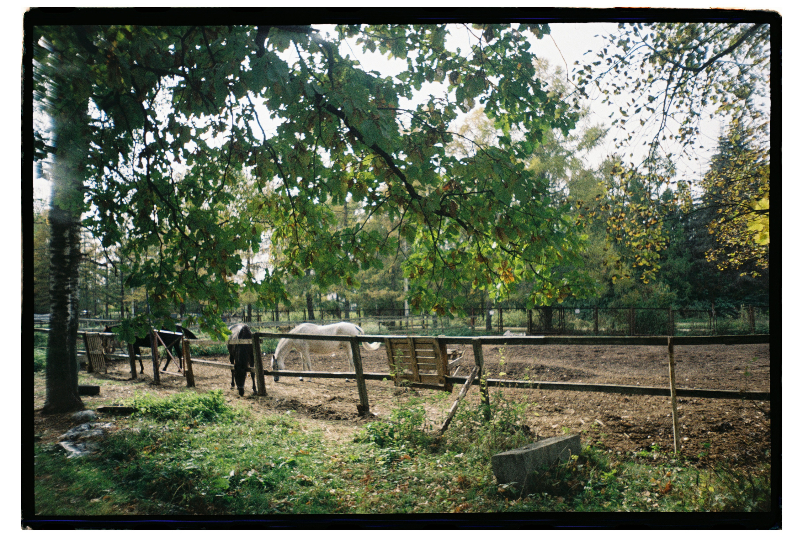 Film dairy. ㅤ