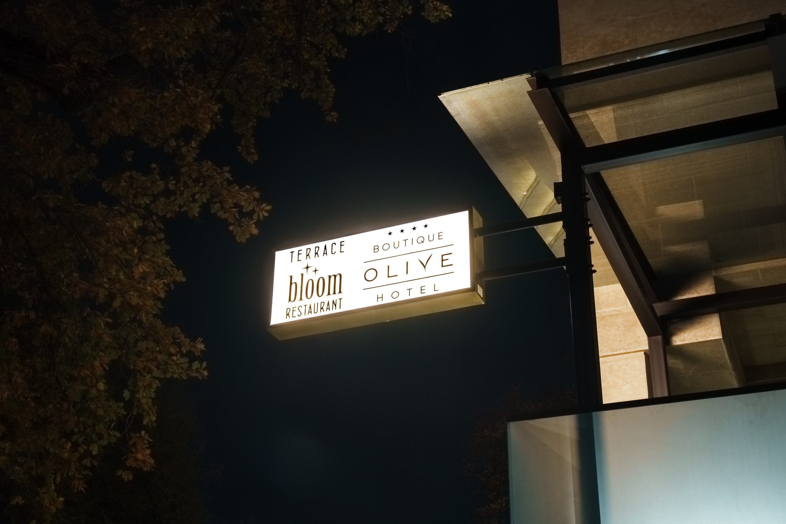 OLIVE HOTEL