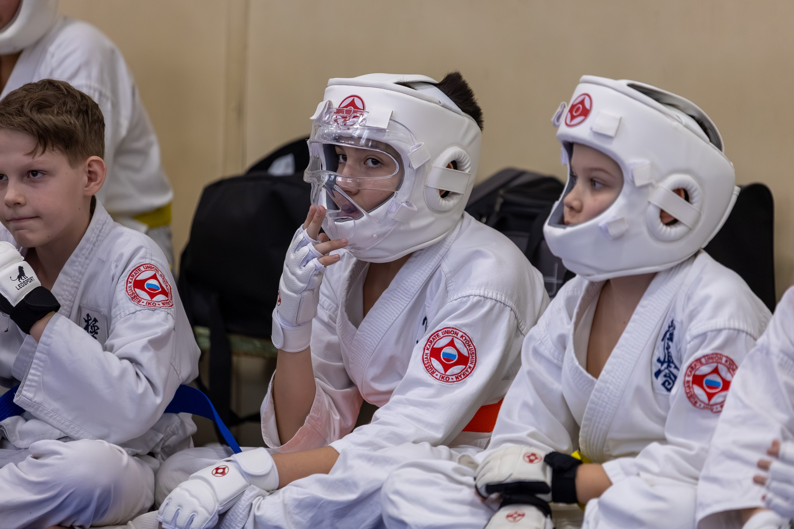 Открытый урок по карате февраль 2026. Главная