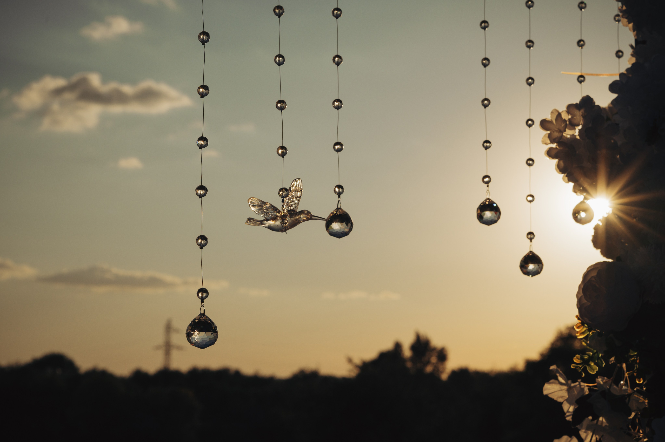 Свадебная съемка в Ростове, прогулка на яхте и семейный ужин за городом