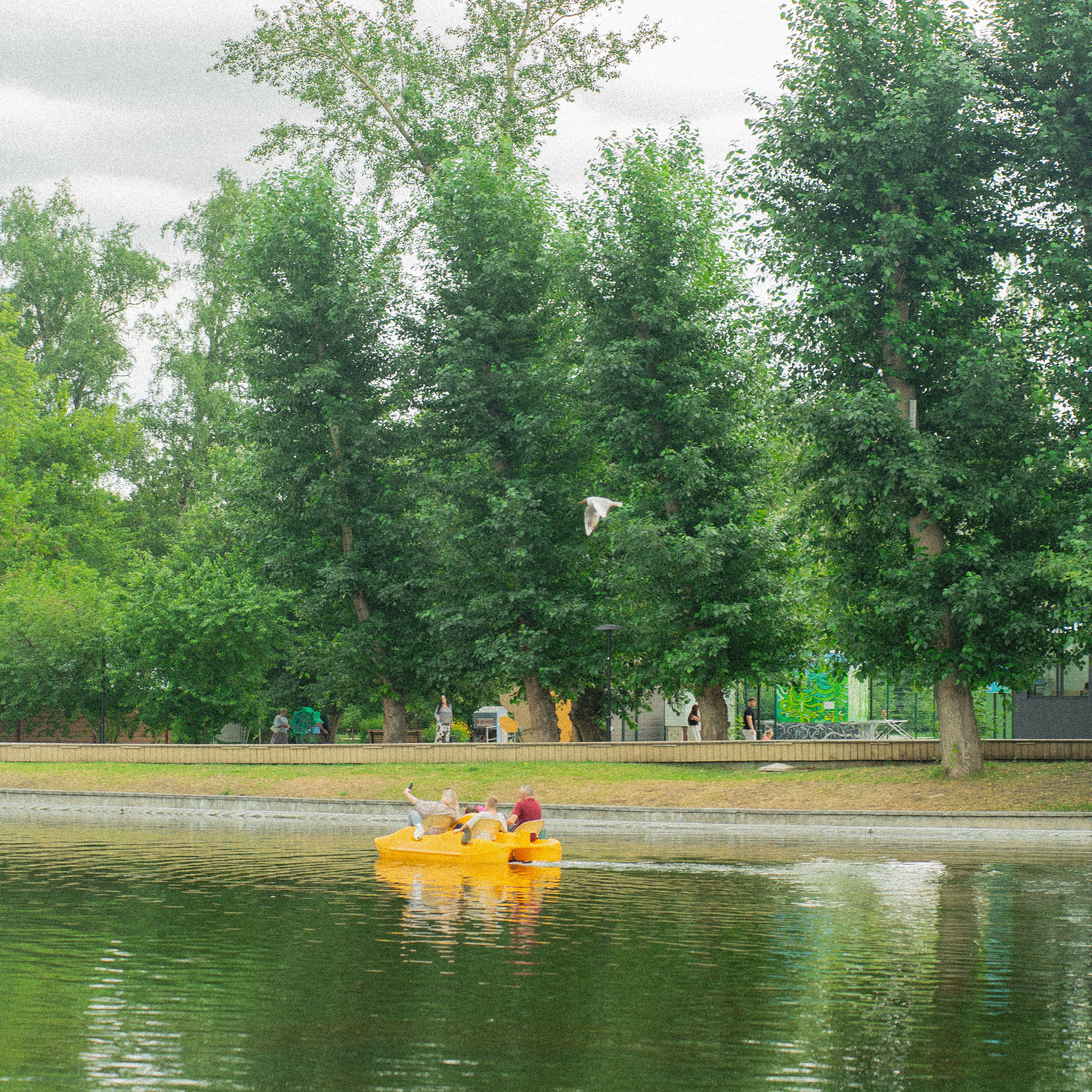 Репортажная съемка. Лера Ютан Свадебный фотограф Барнаул