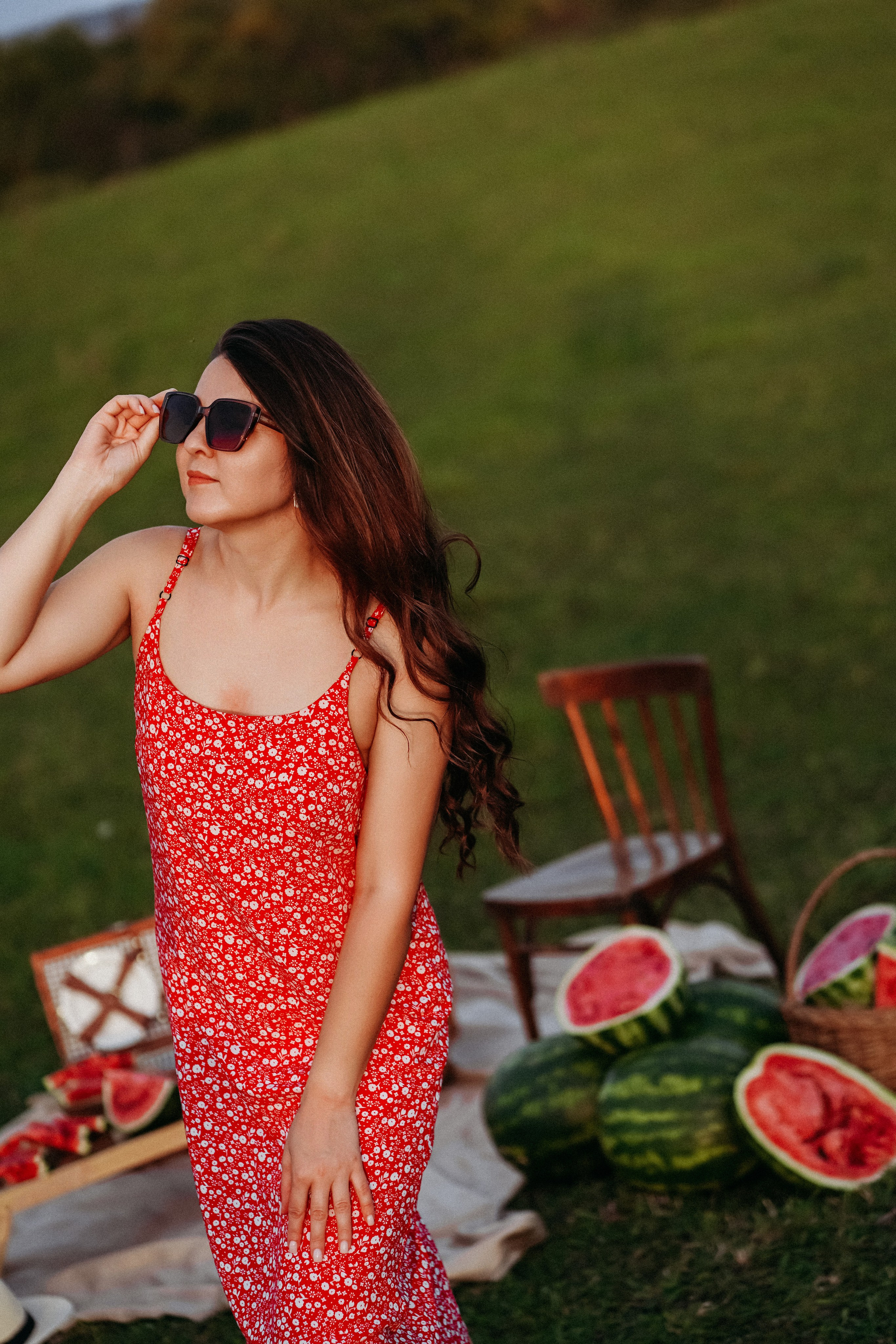 Арбузный проект