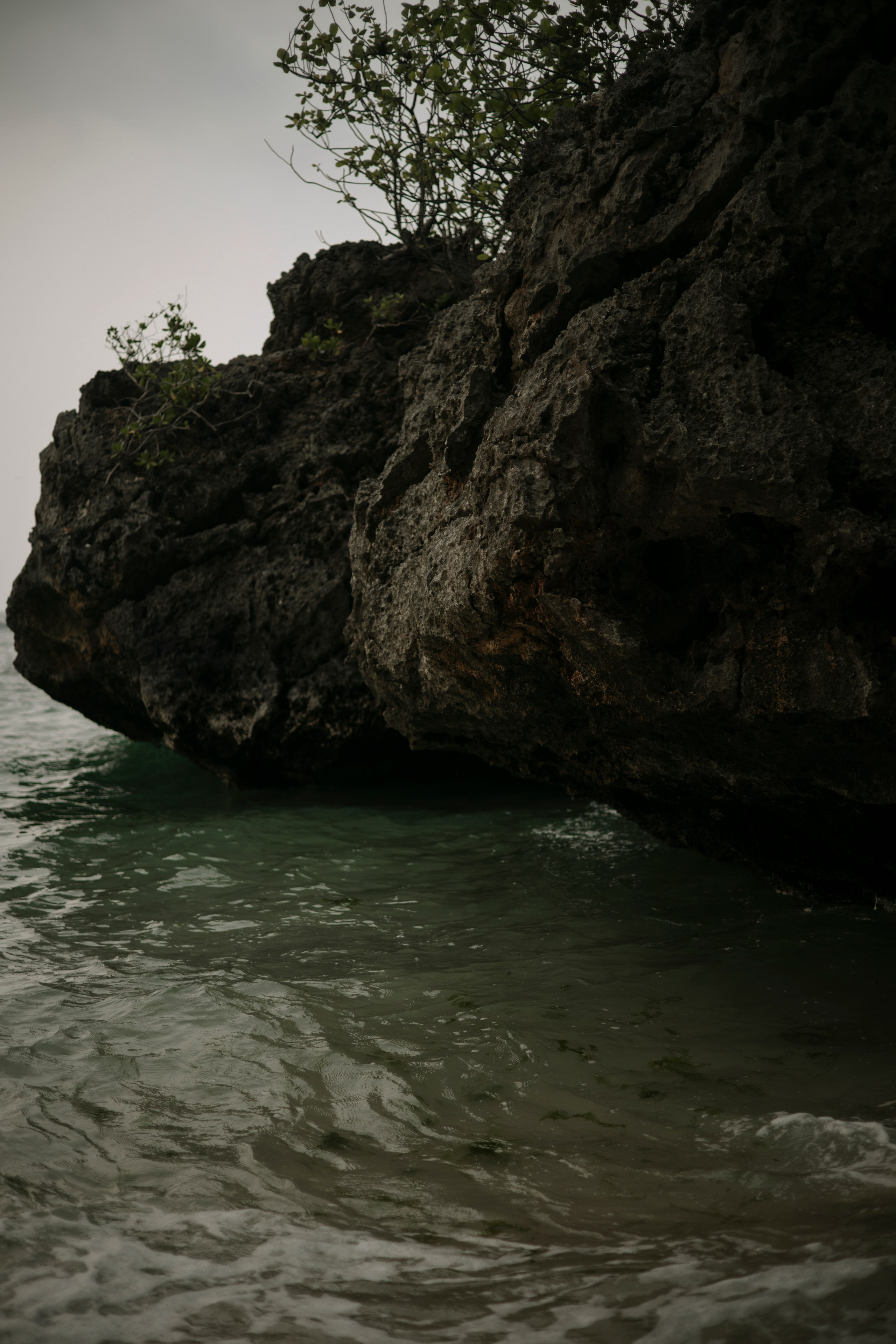 Валерия Бали. Nikolpinhasova