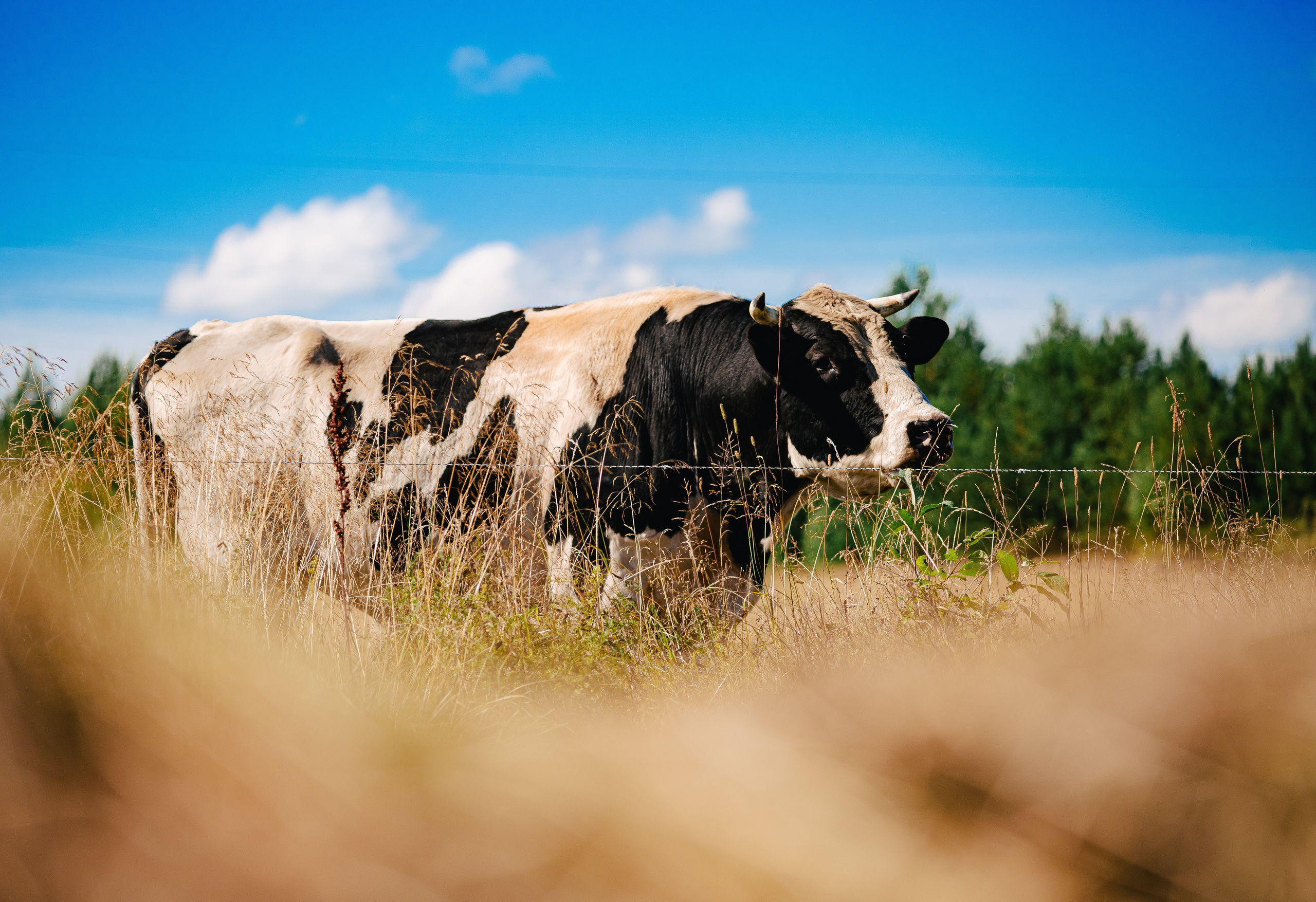 Детские съёмки. Авторские туры с профессиональным фотографом