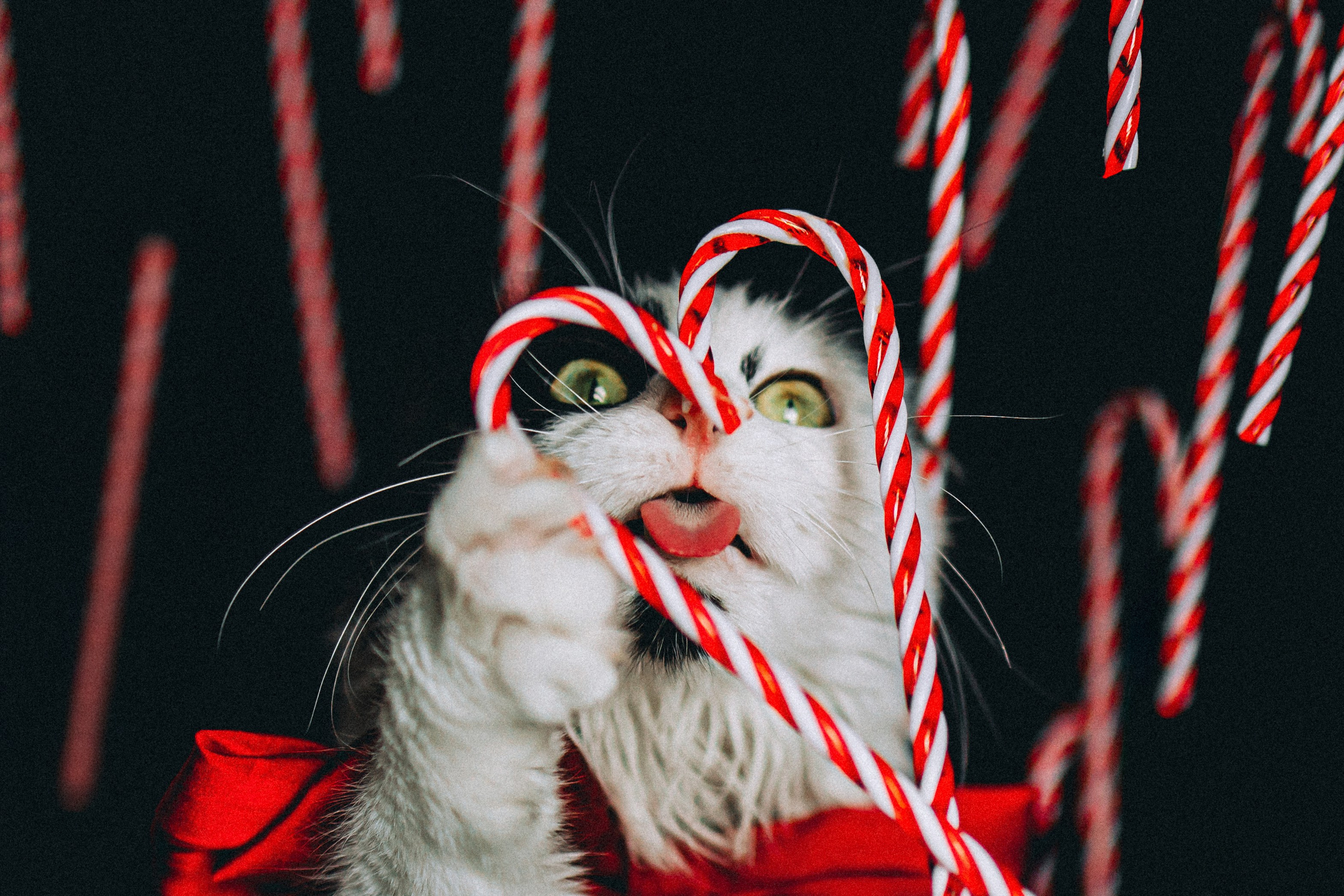 Джек, Бет и Кову