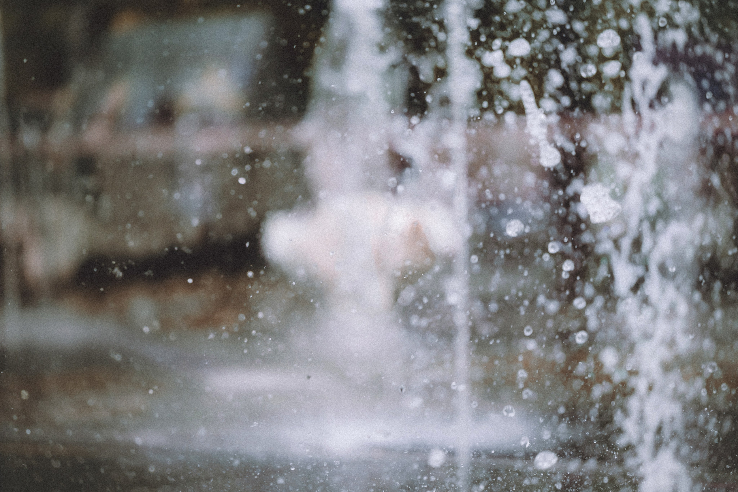 Один и его семья