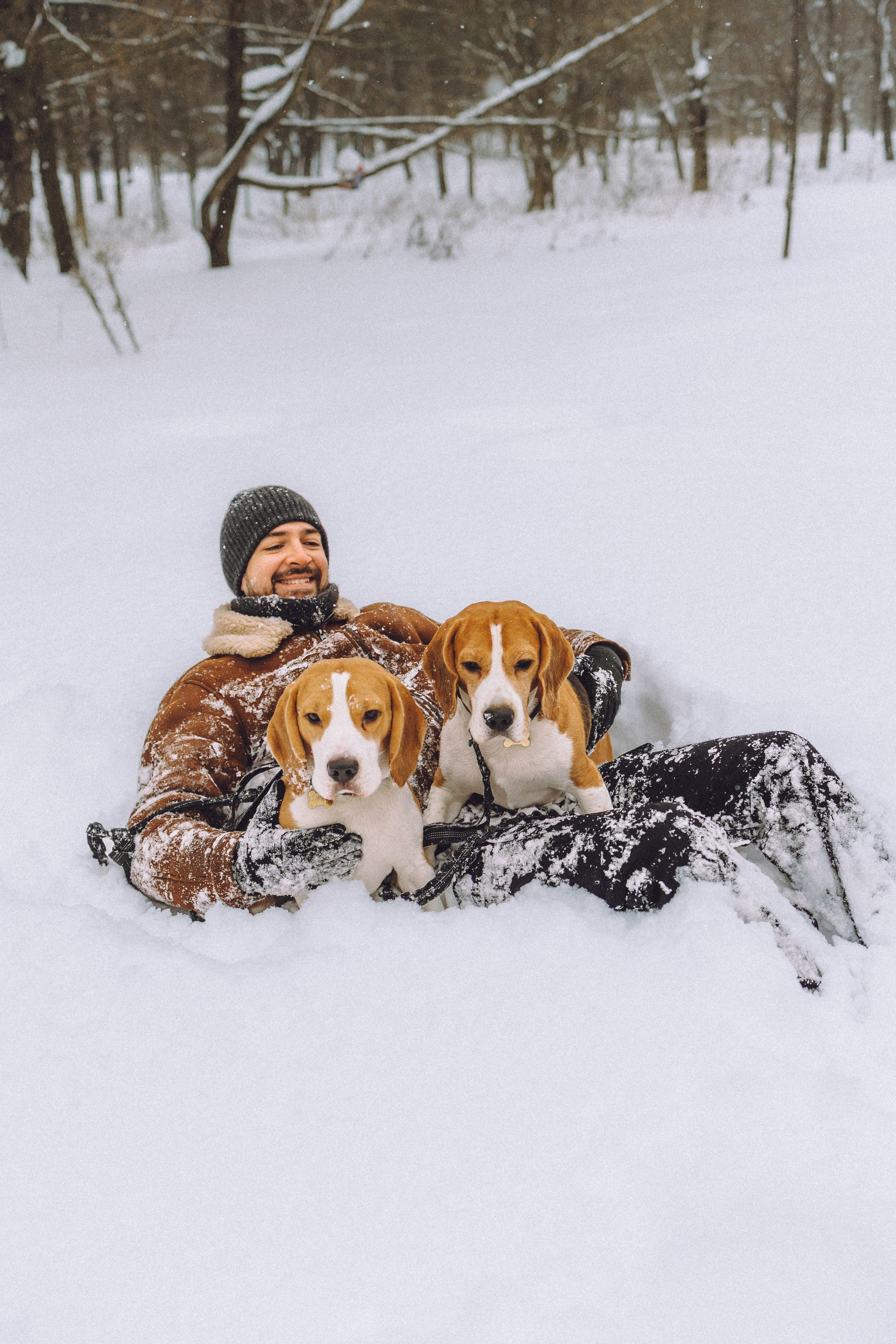 Роман, Портер и Коррес