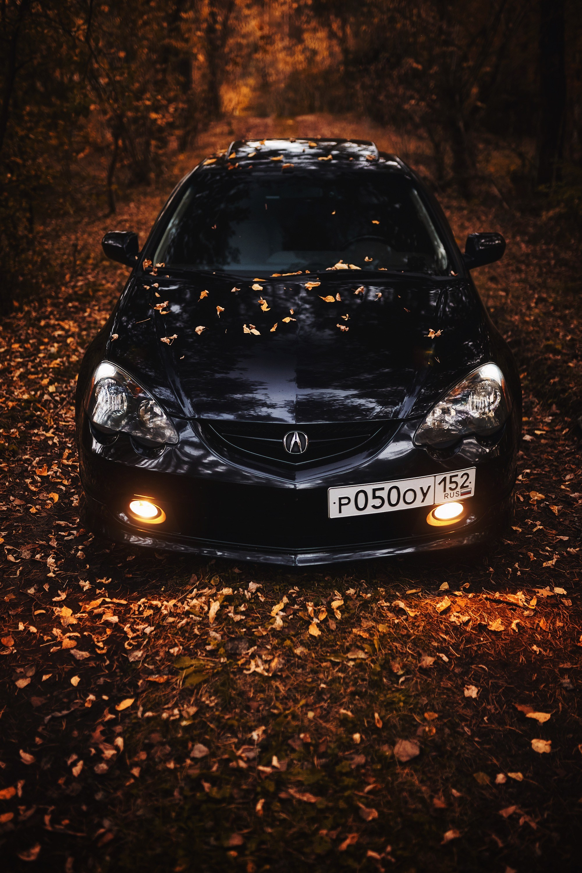 Acura RSX. DKARPOCHEVA PHOTOGRAPHY