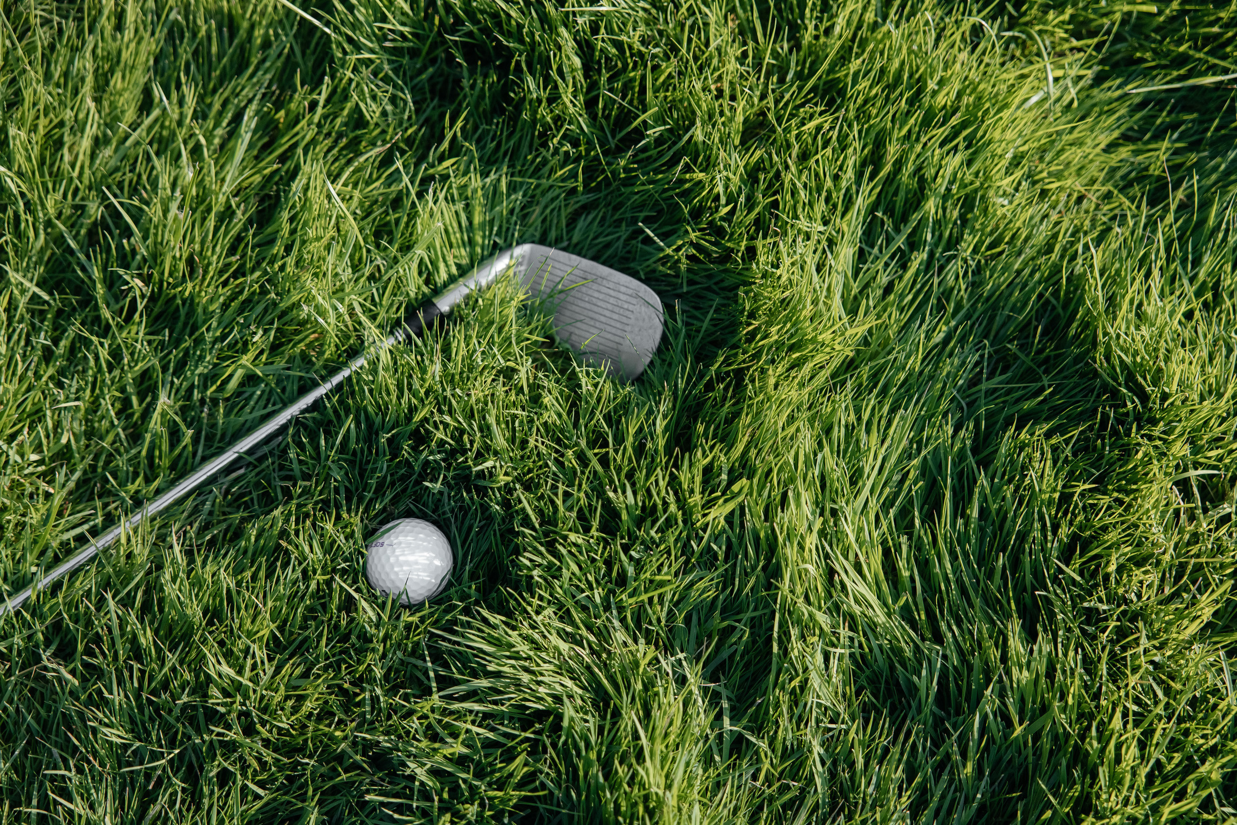 One day Love & Sunset. Свадебный фотограф Москва