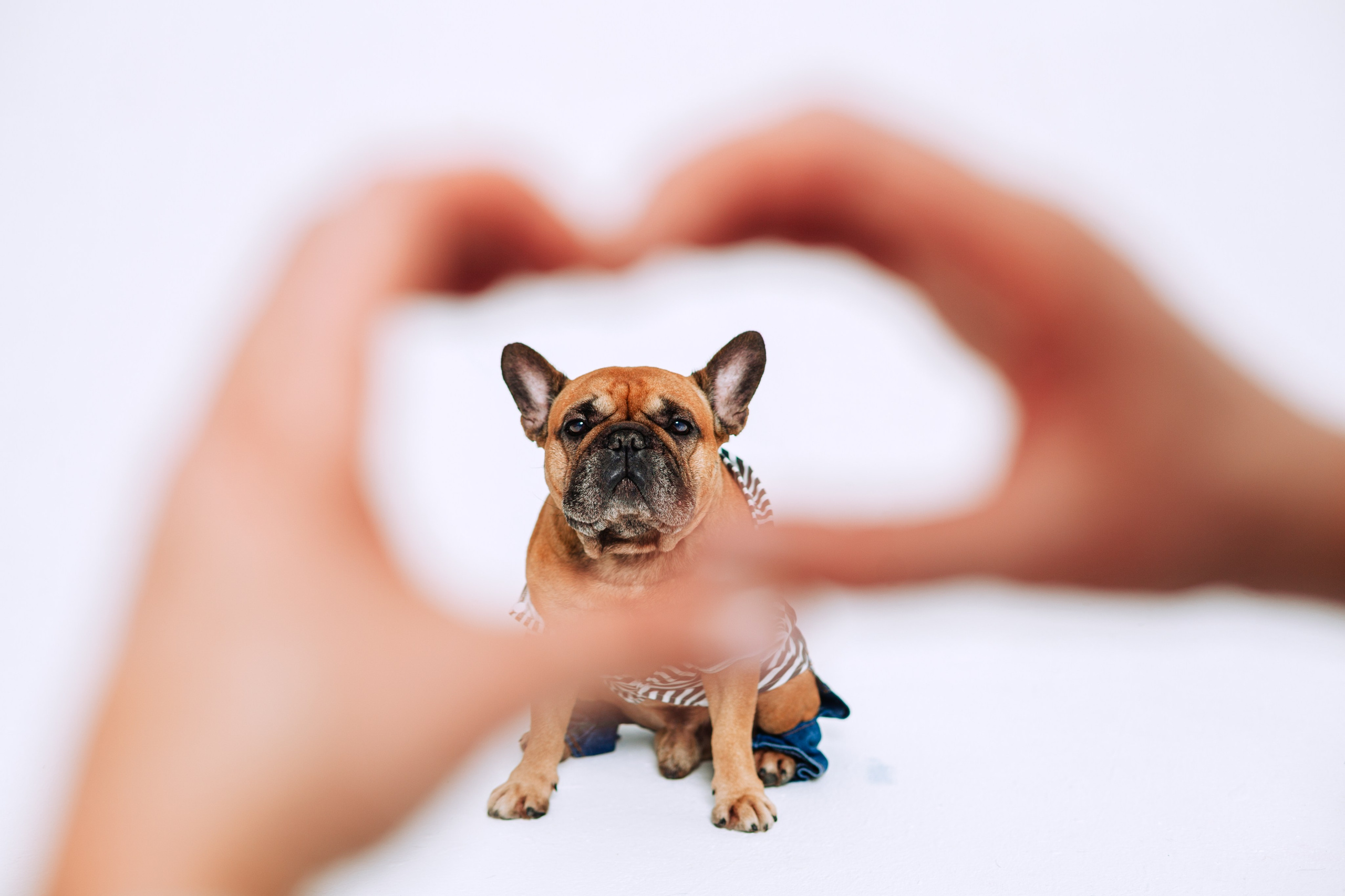 Бульвстреча 2025. Фотограф-анималист Татьяна Степанова