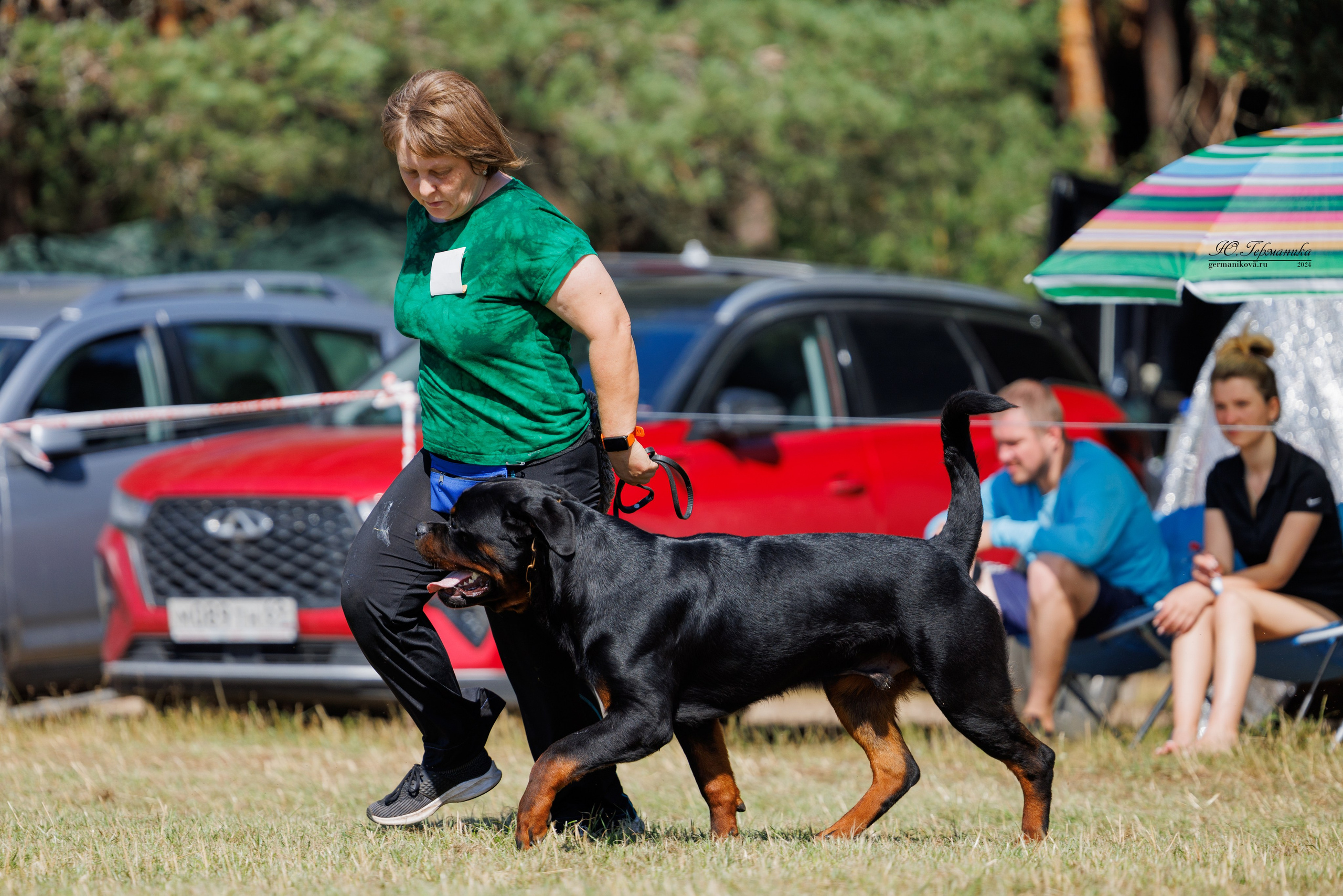 ПК и КЧК ротвейлеры Тверь 6-7.07.2024. Фотограф-анималист Юлия Германика