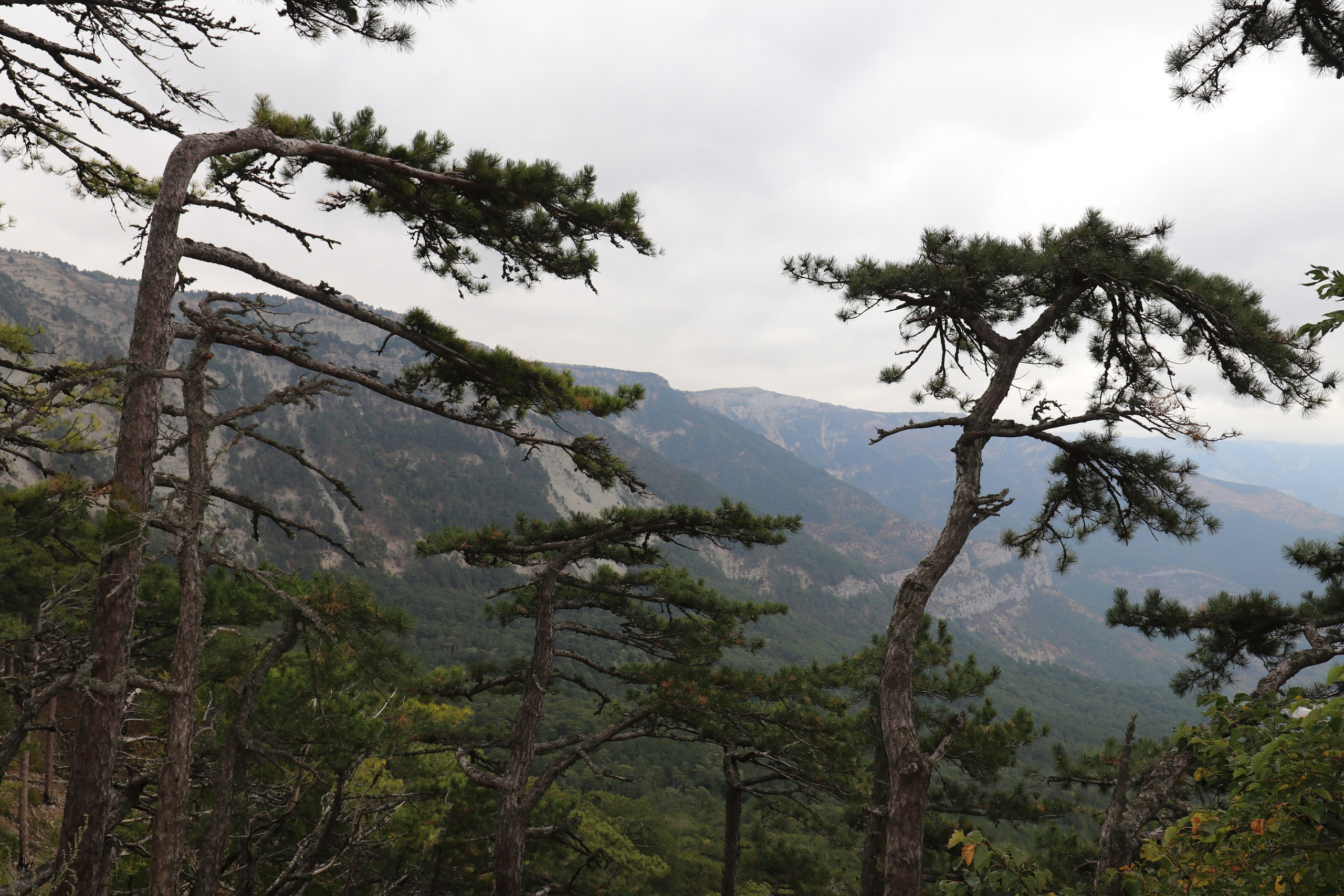 Крым. ЮБК (Фиолент, Ай-Петри, Роман-Кош). Знакомство. Октябрь 2017. Путешественник-фотограф из Санкт-Петербурга Татьяна Свистулина