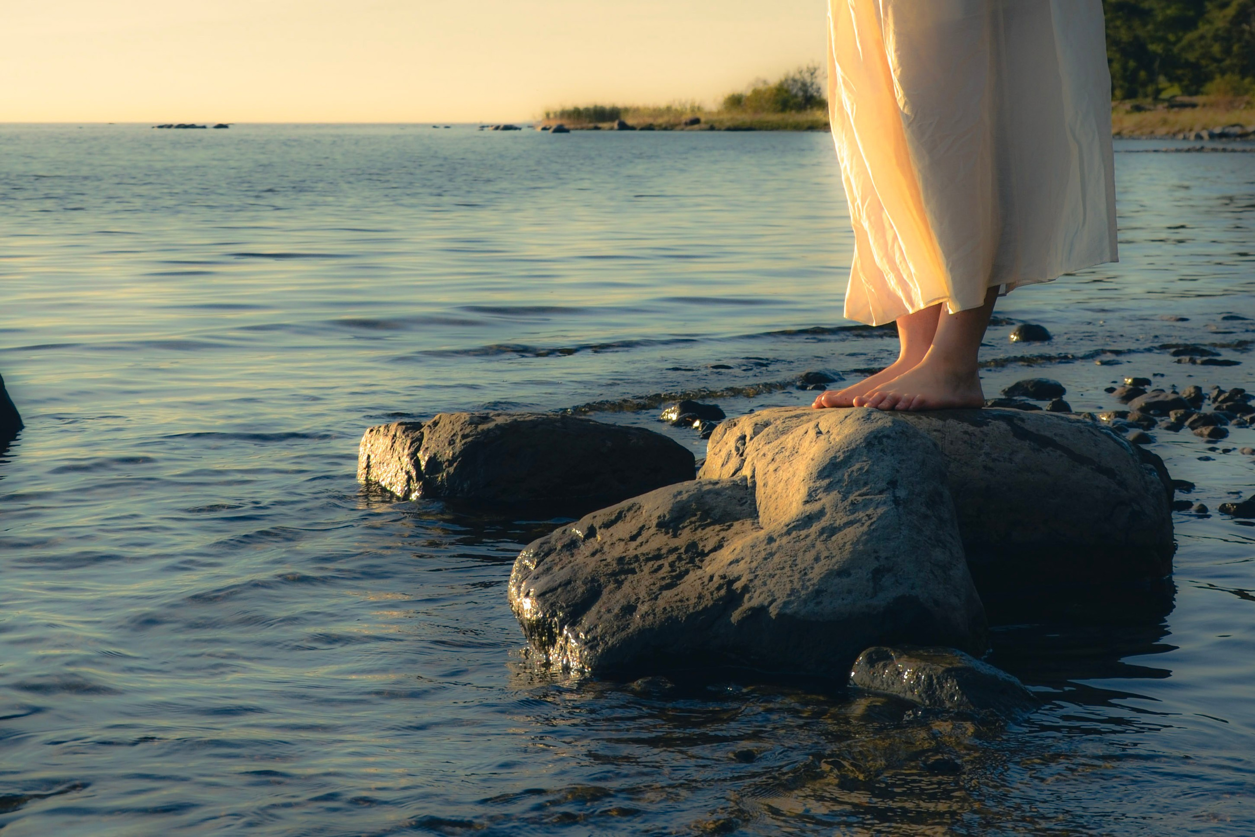 На берегу залива. Фотограф СПб | Лесная фотосессия