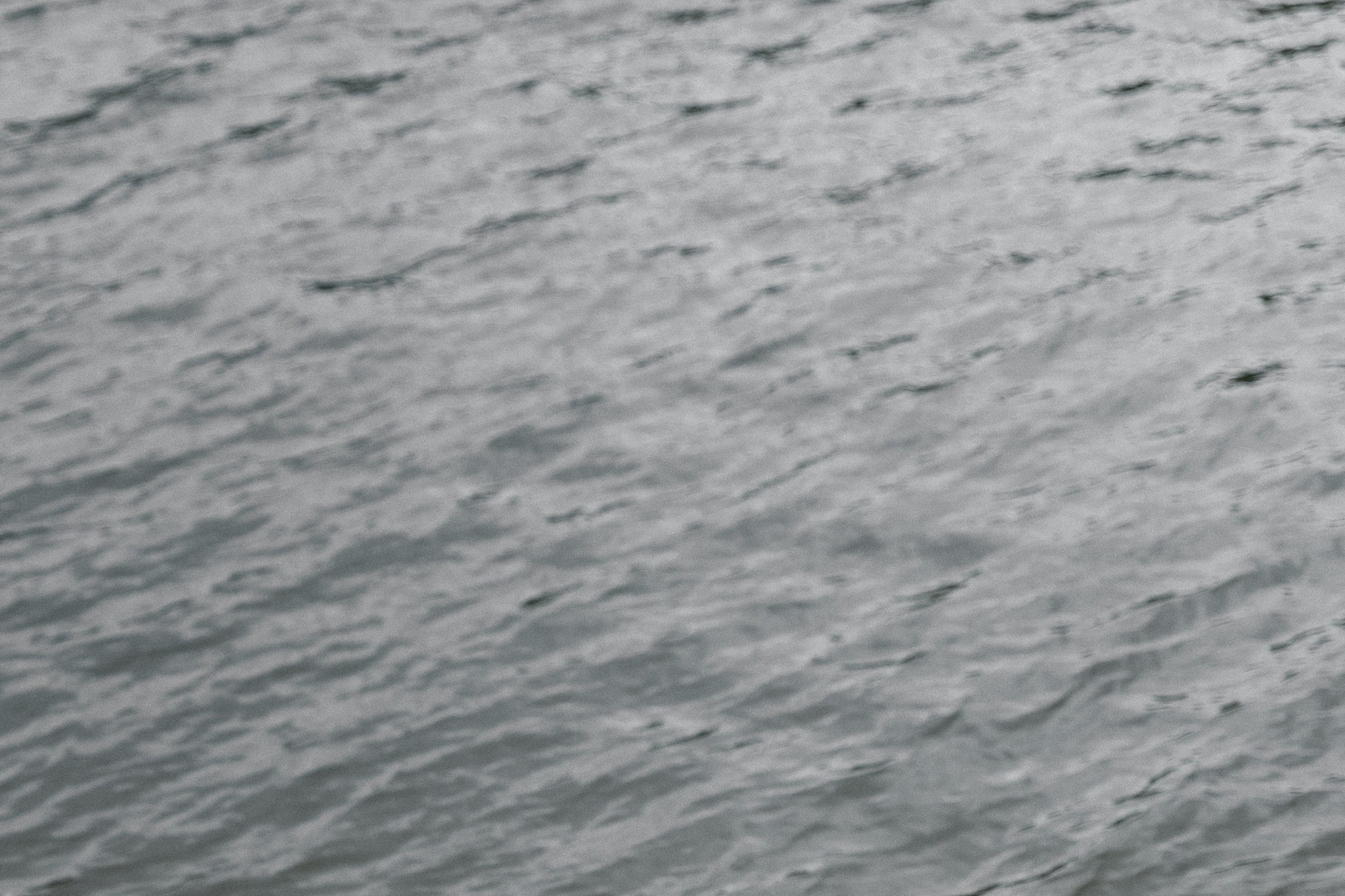 Свадьба Настя и Саша. Герасимов Дмитрий