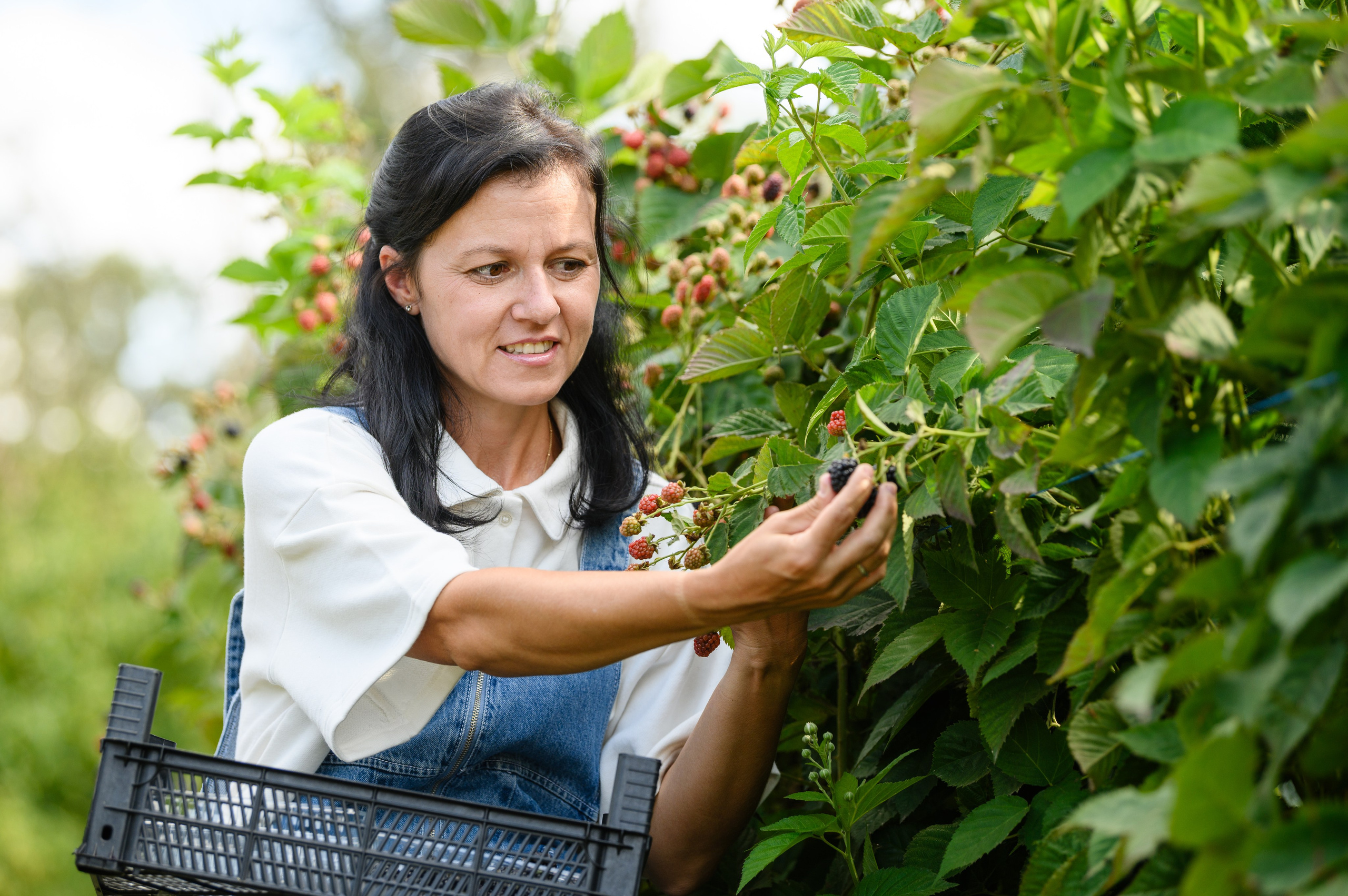 Проекты. Профессиональный фотограф Вячеслав Плацында | Липецк |